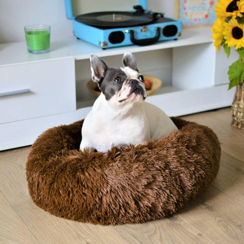 Letto Matrimoniale Moderno con Rete Traspirante, Design Arioso e Rilassante - - 30% korting all arioso Dierenbenodigdheden letto letto arioso new_for_google_may Pets pets & supplies rilassante uomo - Concept Palermo