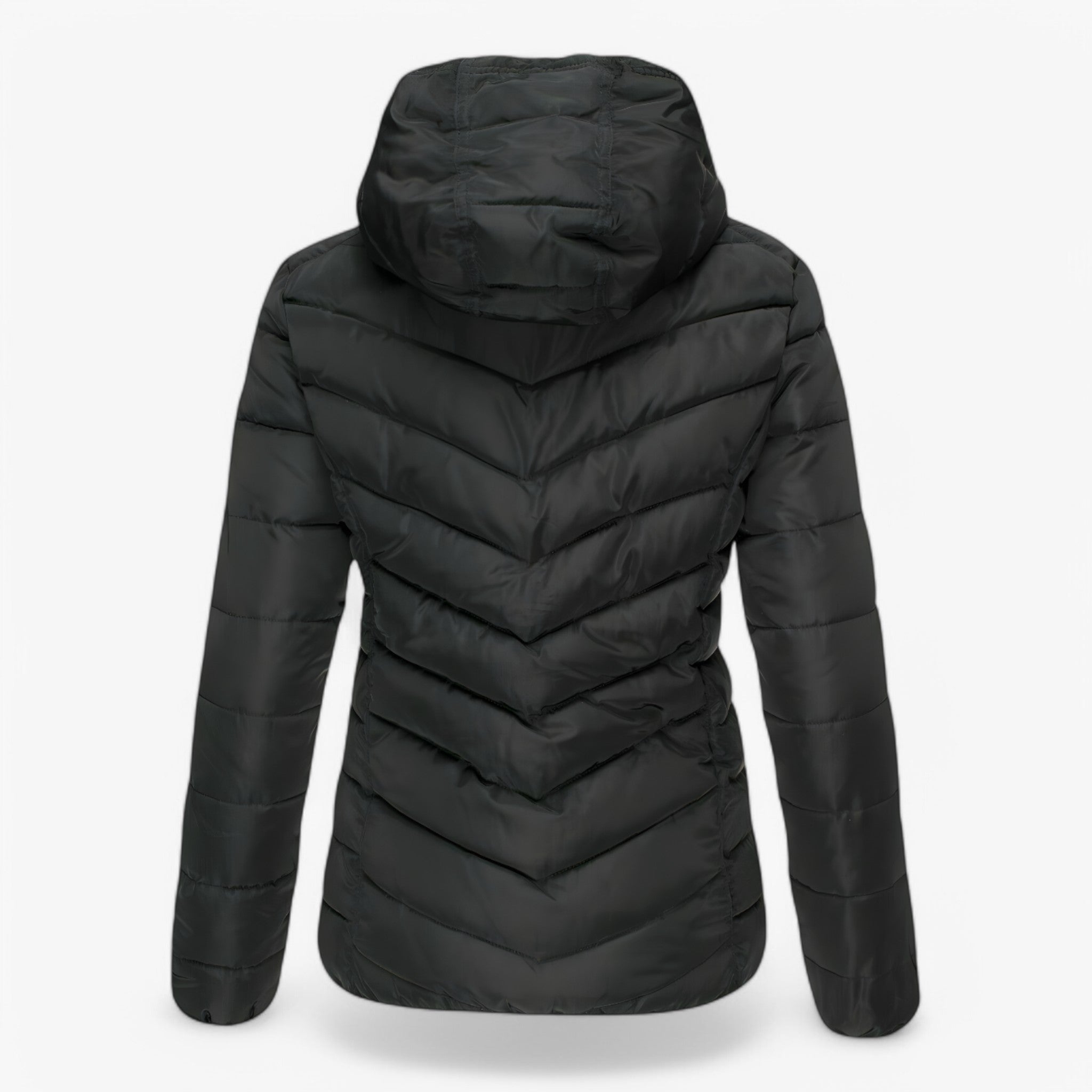 Giubbotto Imbottito Moderno - - giubbotto giubbotto imbottito imbottito women's coats & jackets - Concept Palermo
