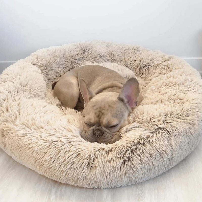 Letto Matrimoniale Moderno con Rete Traspirante, Design Arioso e Rilassante - Beige - 30% korting all arioso Dierenbenodigdheden letto letto arioso new_for_google_may Pets pets & supplies rilassante uomo - Concept Palermo