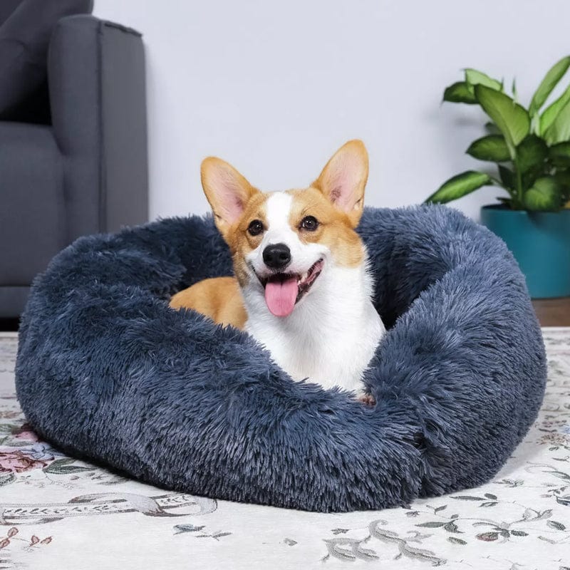Letto Matrimoniale Moderno con Rete Traspirante, Design Arioso e Rilassante - - 30% korting all arioso Dierenbenodigdheden letto letto arioso new_for_google_may Pets pets & supplies rilassante uomo - Concept Palermo