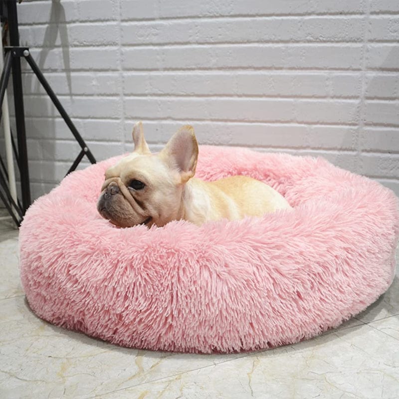 Letto Matrimoniale Moderno con Rete Traspirante, Design Arioso e Rilassante - Rosa - 30% korting all arioso Dierenbenodigdheden letto letto arioso new_for_google_may Pets pets & supplies rilassante uomo - Concept Palermo