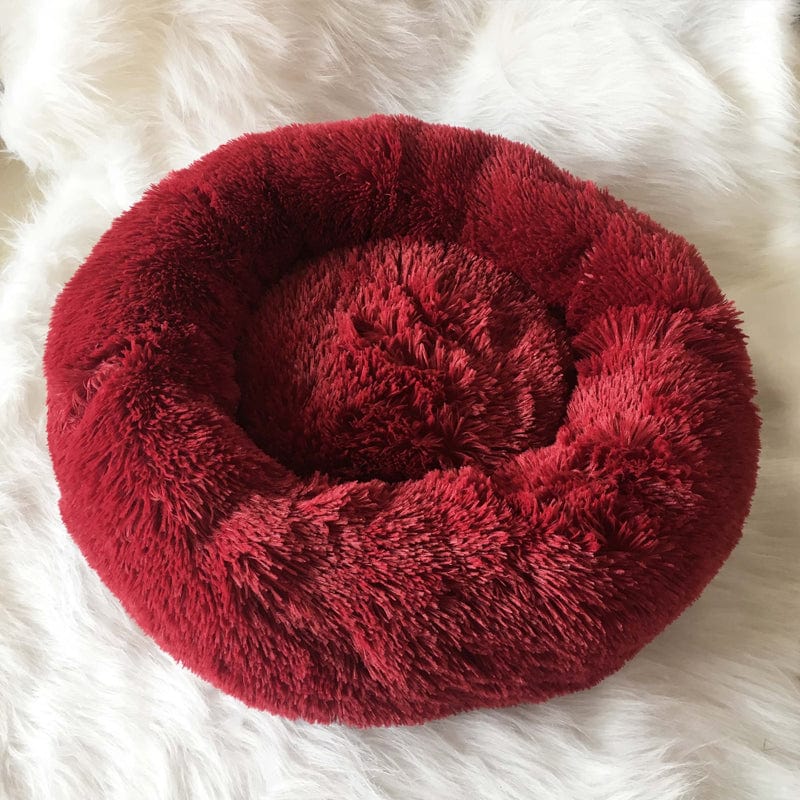 Letto Matrimoniale Moderno con Rete Traspirante, Design Arioso e Rilassante - Rosso - 30% korting all arioso Dierenbenodigdheden letto letto arioso new_for_google_may Pets pets & supplies rilassante uomo - Concept Palermo