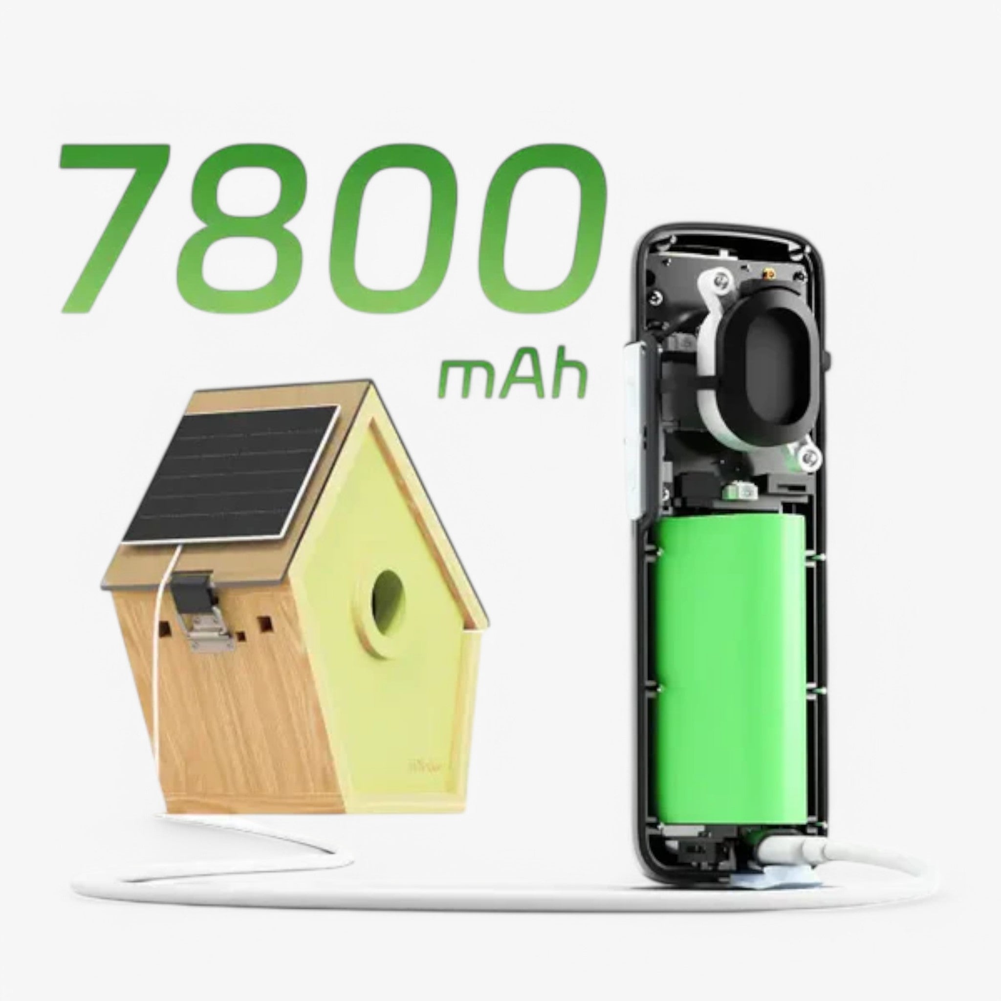 Casetta per Uccelli Slim con Tecnologia Avanzata Uomo - - avanzata bird house birdproduct casetta casetta uccelli pets & supplies slim tecnologia uccelli uomo - Concept Palermo