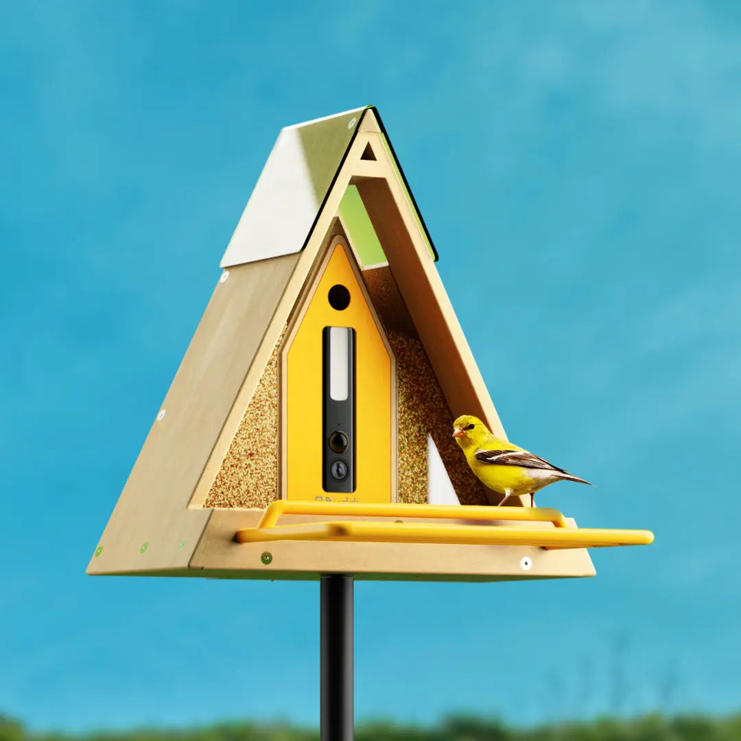 Reli Birddy Slim Feeder GreenTough™ Mangiatore per Uccelli Slim con Design Sostenibile Verde Uomo - - bird feeder birddy birdproduct design feeder greentough mangiatore petproduct pets & supplies reli reli birddy - Concept Palermo