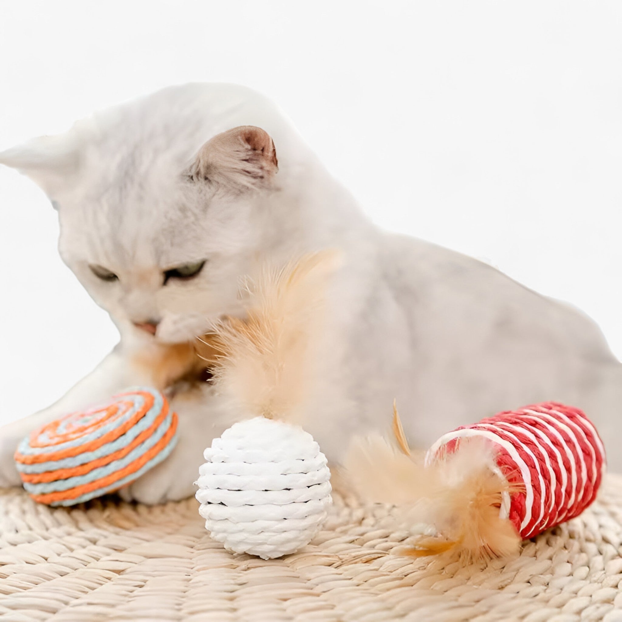 Set di Bacchette Interattive in Legno per Gatti con Molla Uomo - - bacchette bacchette interattive gatti interattive legno molla pets & supplies uomo - Concept Palermo