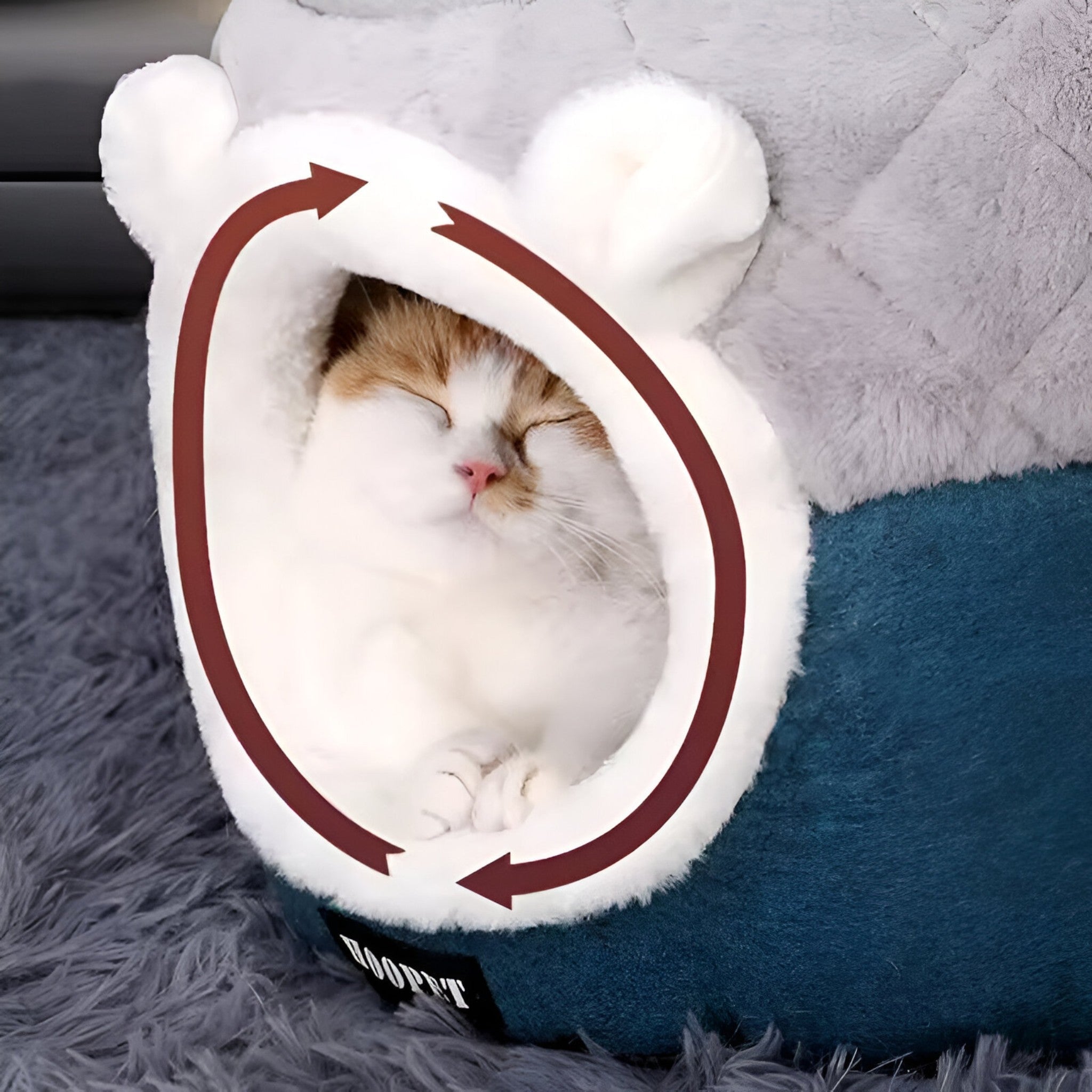 Letto a Cerchio per Gatti – Caldo, Morbido e Accogliente Nido Uomo - - accogliente caldo cerchio gatti letto letto cerchio nido pets & supplies - Concept Palermo