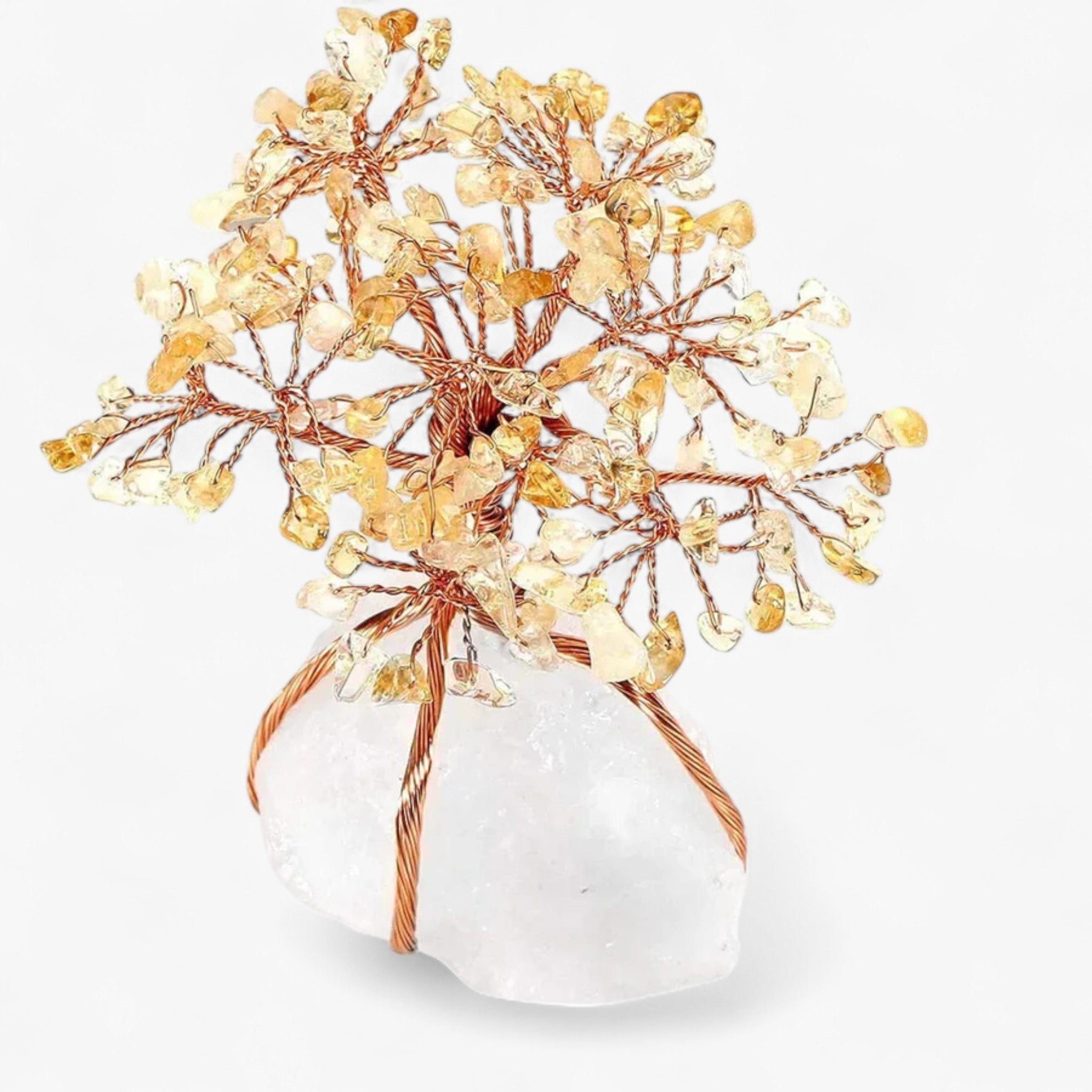 Decorazioni Bonsai Feng Shui Uomo - Citrino - bonsai bonsai decoration Decoration decorazioni decorazioni bonsai feng feng shui home & garden shui uomo - Concept Palermo