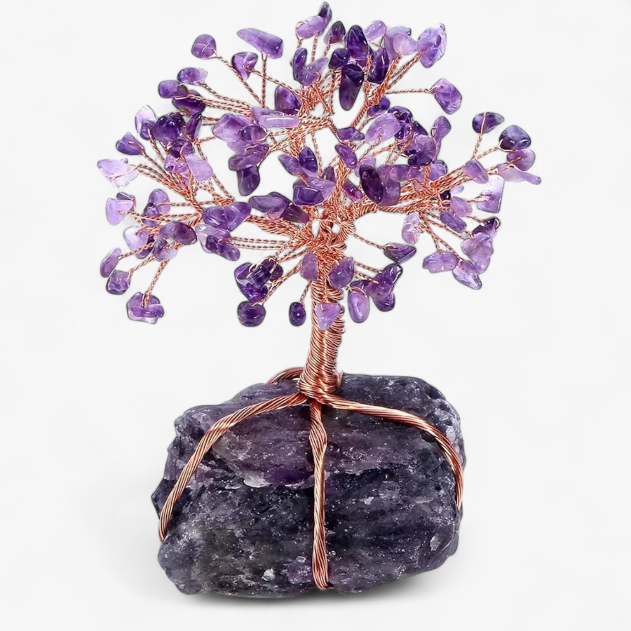 Decorazioni Bonsai Feng Shui Uomo - Ametista - bonsai bonsai decoration Decoration decorazioni decorazioni bonsai feng feng shui home & garden shui uomo - Concept Palermo