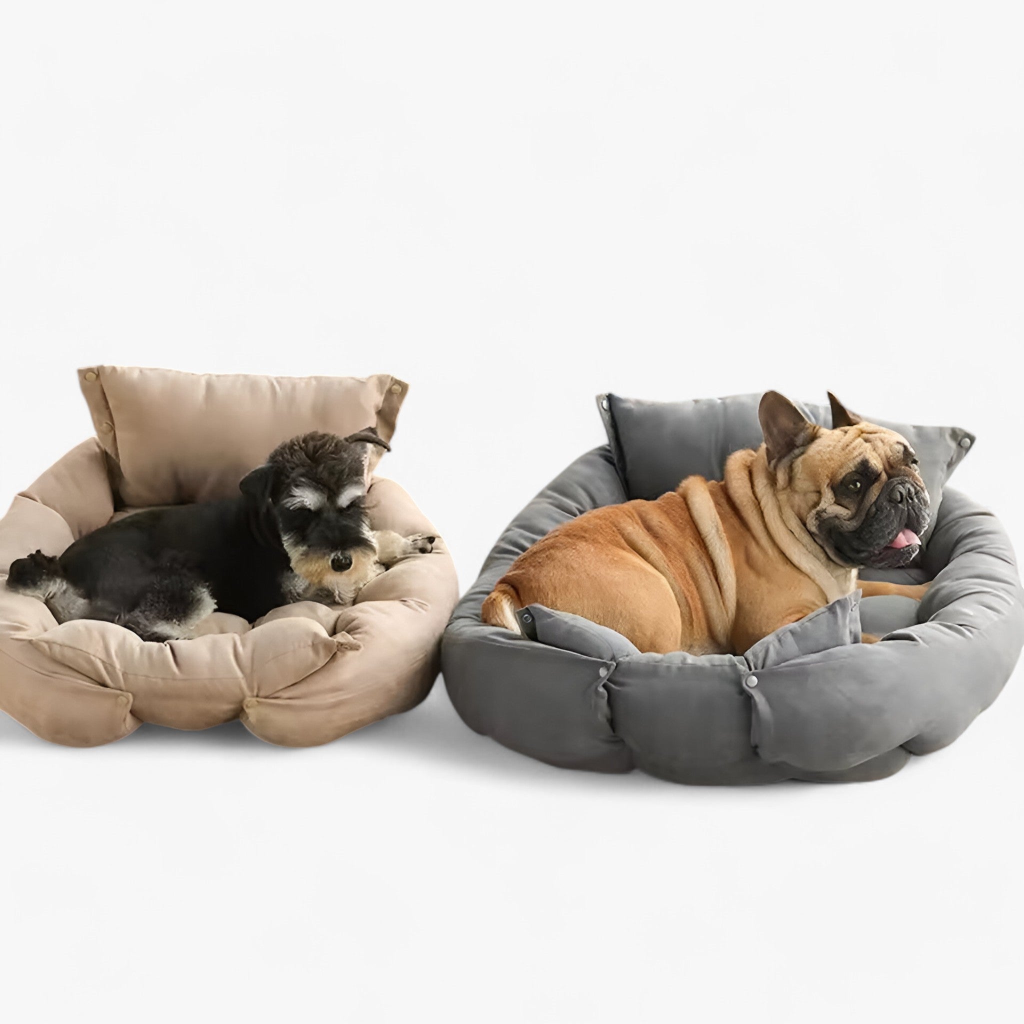 Letto Multifunzionale 3-in-1 per Cani e Gatti, Cuccia Morbida e Cuscino Rimovibile per Interni - - animali cani gatti letto letto animali multifunzionale pets & supplies uomo - Concept Palermo