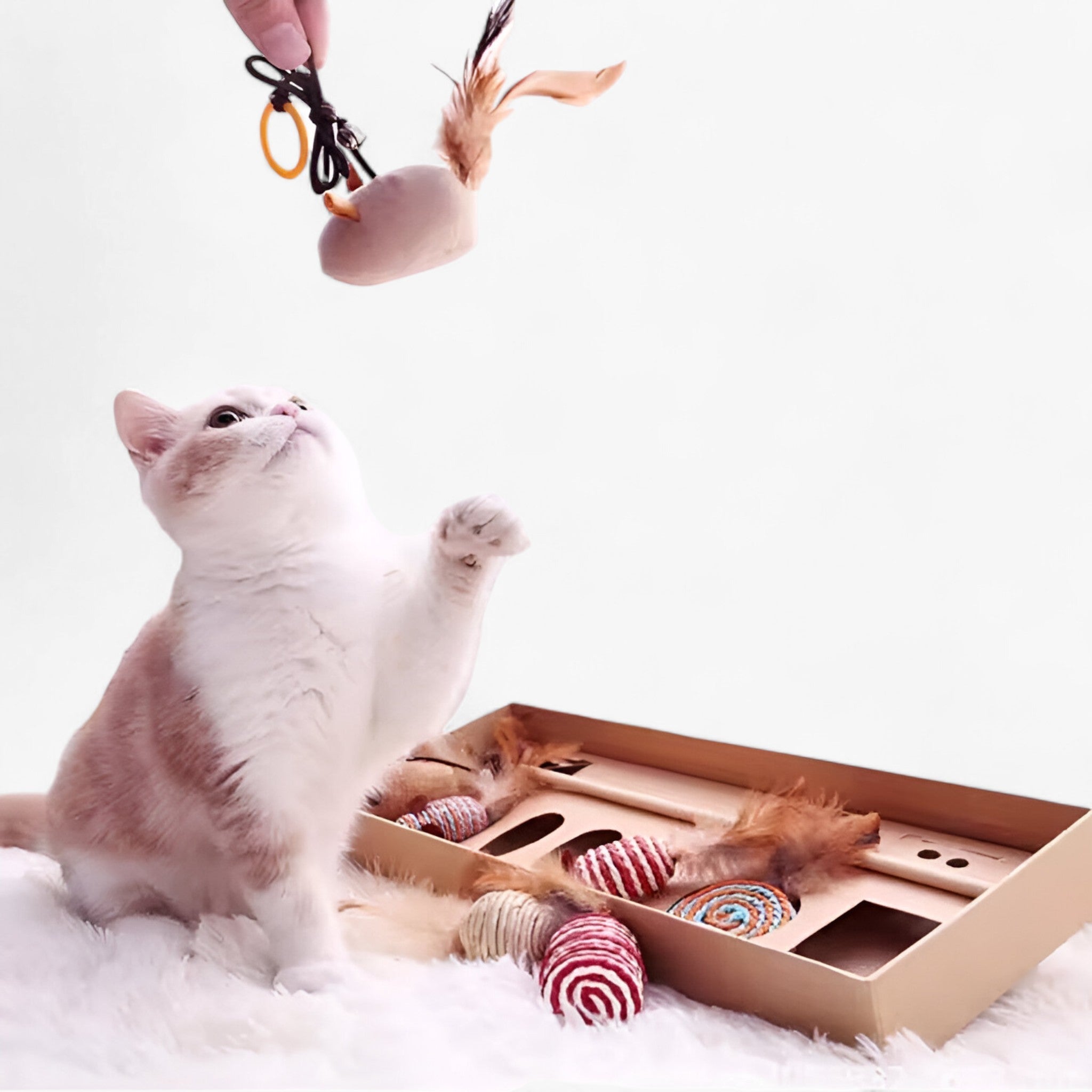 Set di Bacchette Interattive in Legno per Gatti con Molla Uomo - - bacchette bacchette interattive gatti interattive legno molla pets & supplies uomo - Concept Palermo