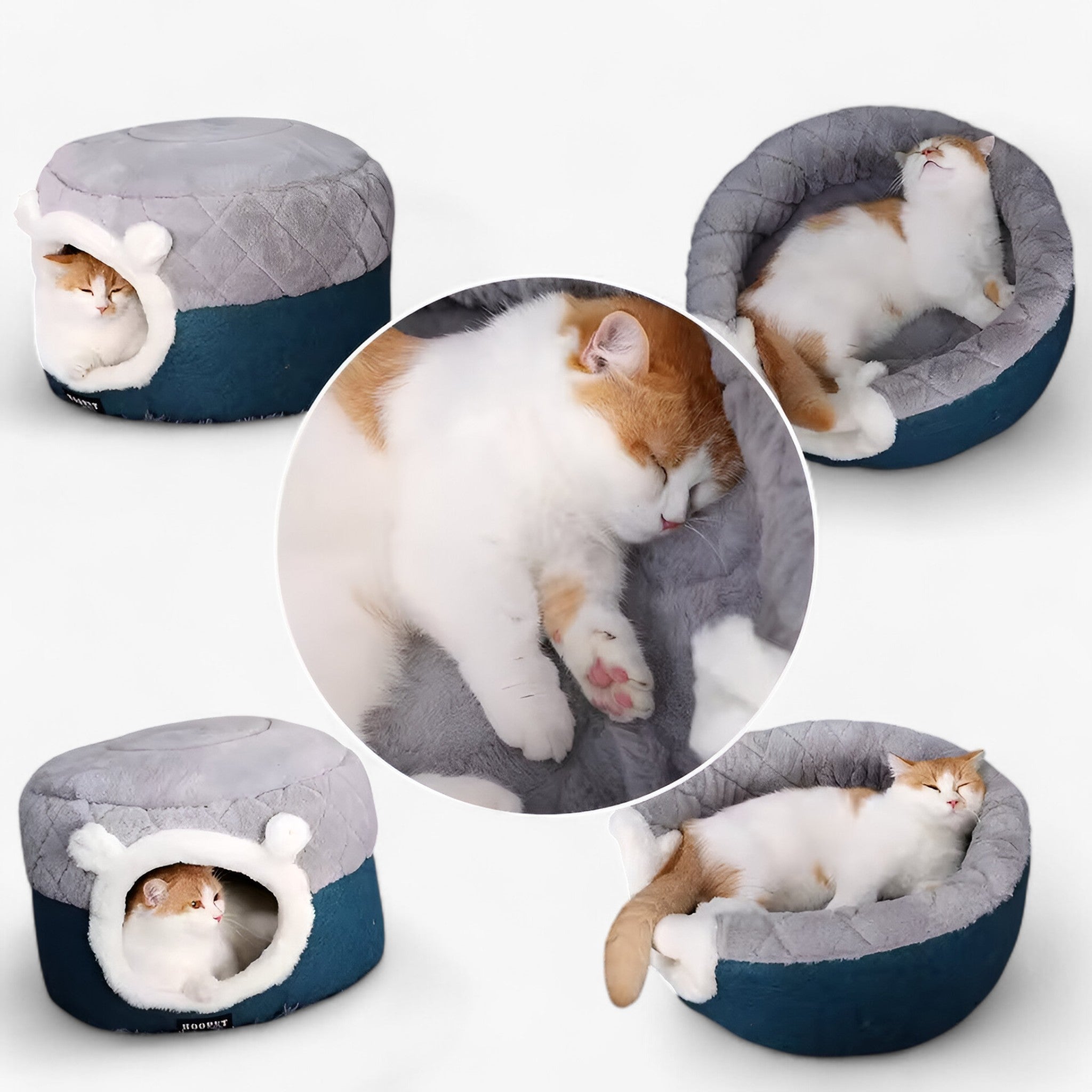 Letto a Cerchio per Gatti – Caldo, Morbido e Accogliente Nido Uomo - - accogliente caldo cerchio gatti letto letto cerchio nido pets & supplies - Concept Palermo