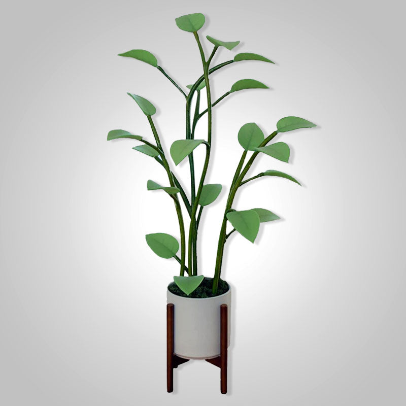 Pianta LED Magica™ - - all home Home & Garden magica new_for_google pianta pianta magica - Concept Palermo