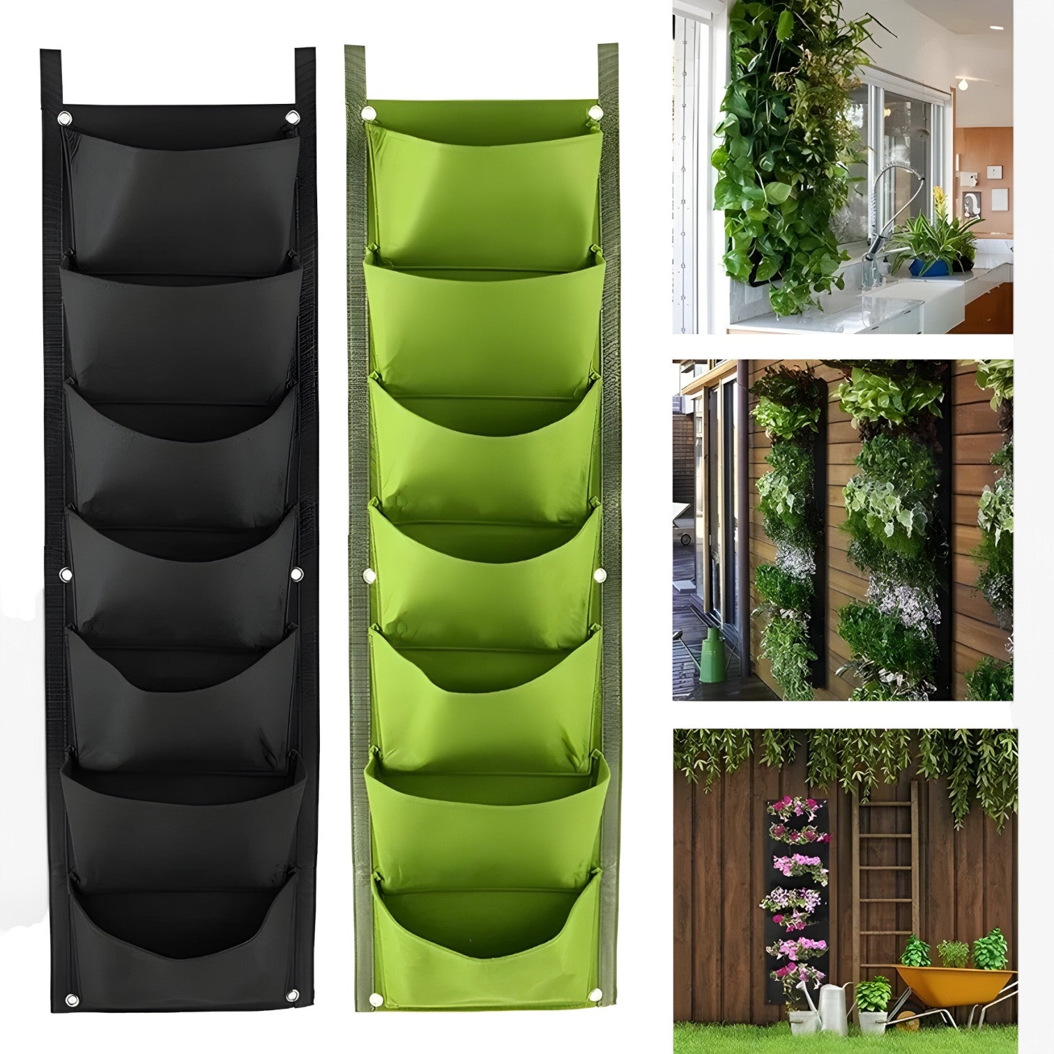 7 compartimenti per una crescita sana Verde - - compartimenti compartimenti crescita crescita Garden Garden supplies Gardening Home & Garden sana - Concept Palermo