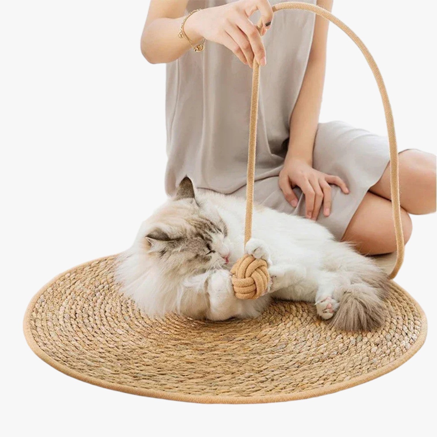 Tappetino tiragraffi in paglia per gatti, pratico e facile da usare - - facile gatti paglia pet PET SUPPLIES petproduct pets & supplies pratico tappetino tappetino tiragraffi tiragraffi - Concept Palermo