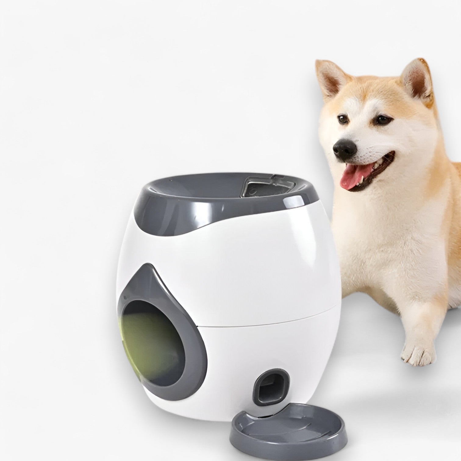 Distributore Intelligente di Tennis e Snack per Cani Uomo - - cani distributore distributore intelligente intelligente pet pet accessories PET SUPPLIES pets & supplies snack tennis uomo - Concept Palermo