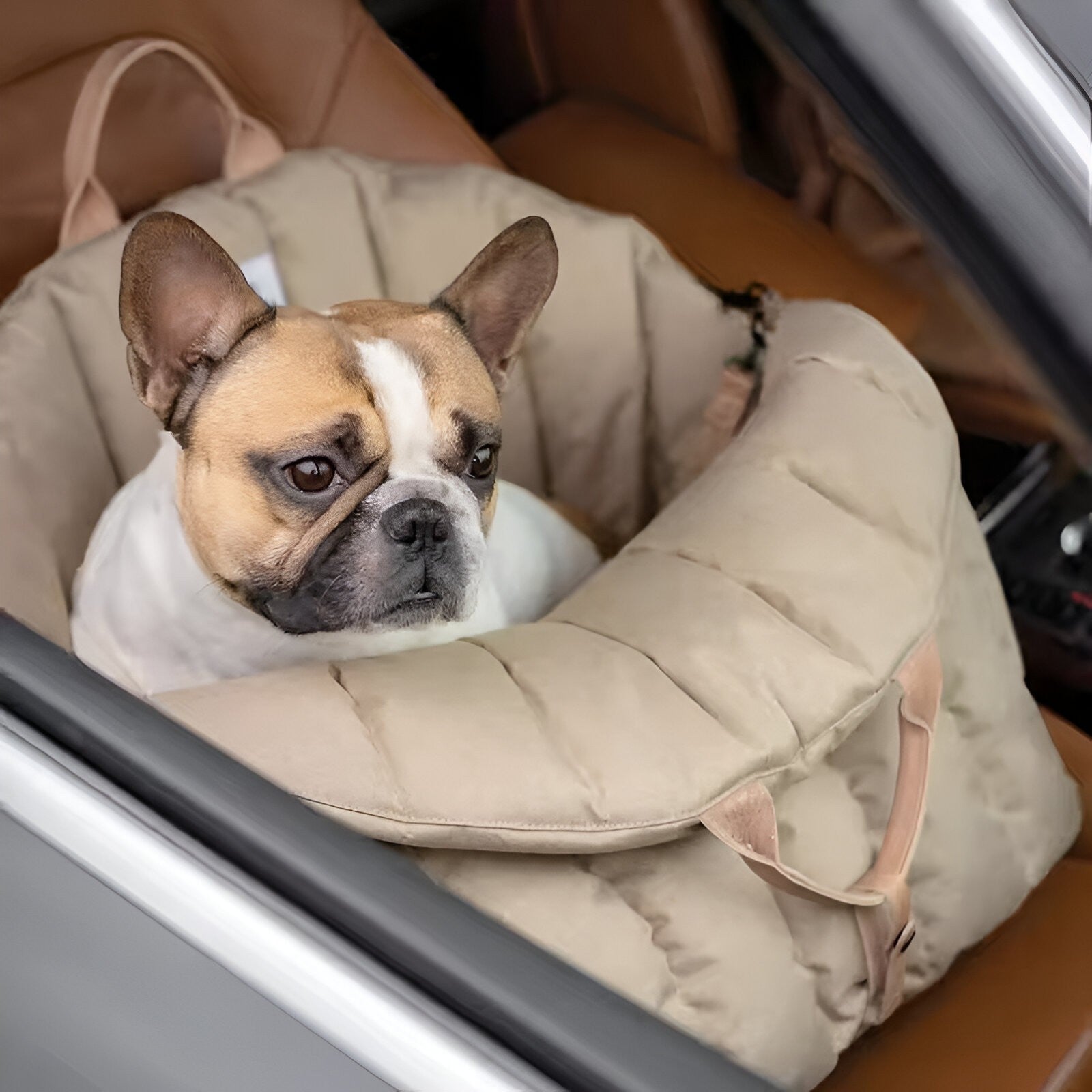 Borsa Trasportino Cane Lusso e Calda per Viaggi, Piccola Taglia, Morbida Imbottitura - - borsa borsa cani calda cani luxe pets & supplies viaggi - Concept Palermo