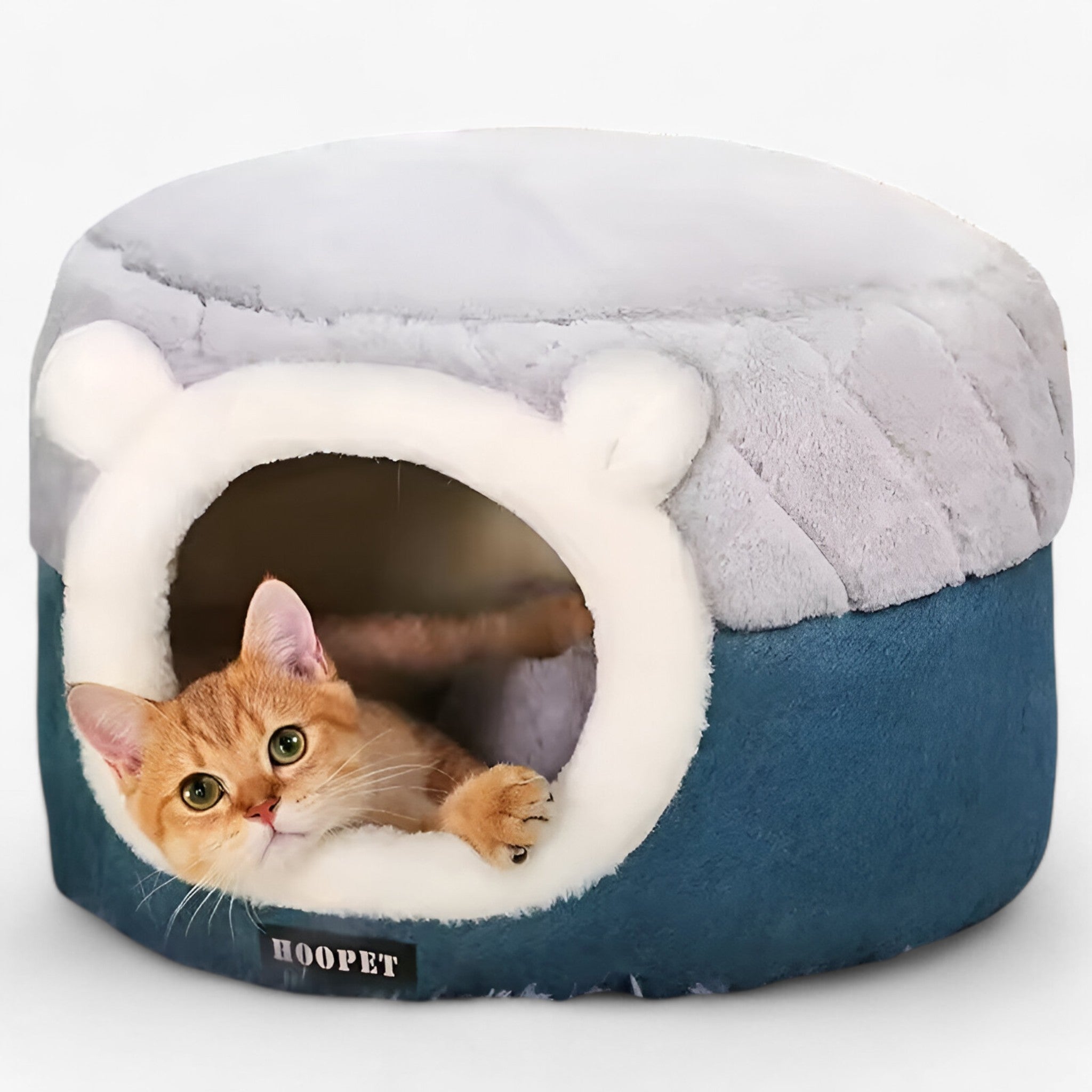 Letto a Cerchio per Gatti – Caldo, Morbido e Accogliente Nido Uomo - - accogliente caldo cerchio gatti letto letto cerchio nido pets & supplies - Concept Palermo
