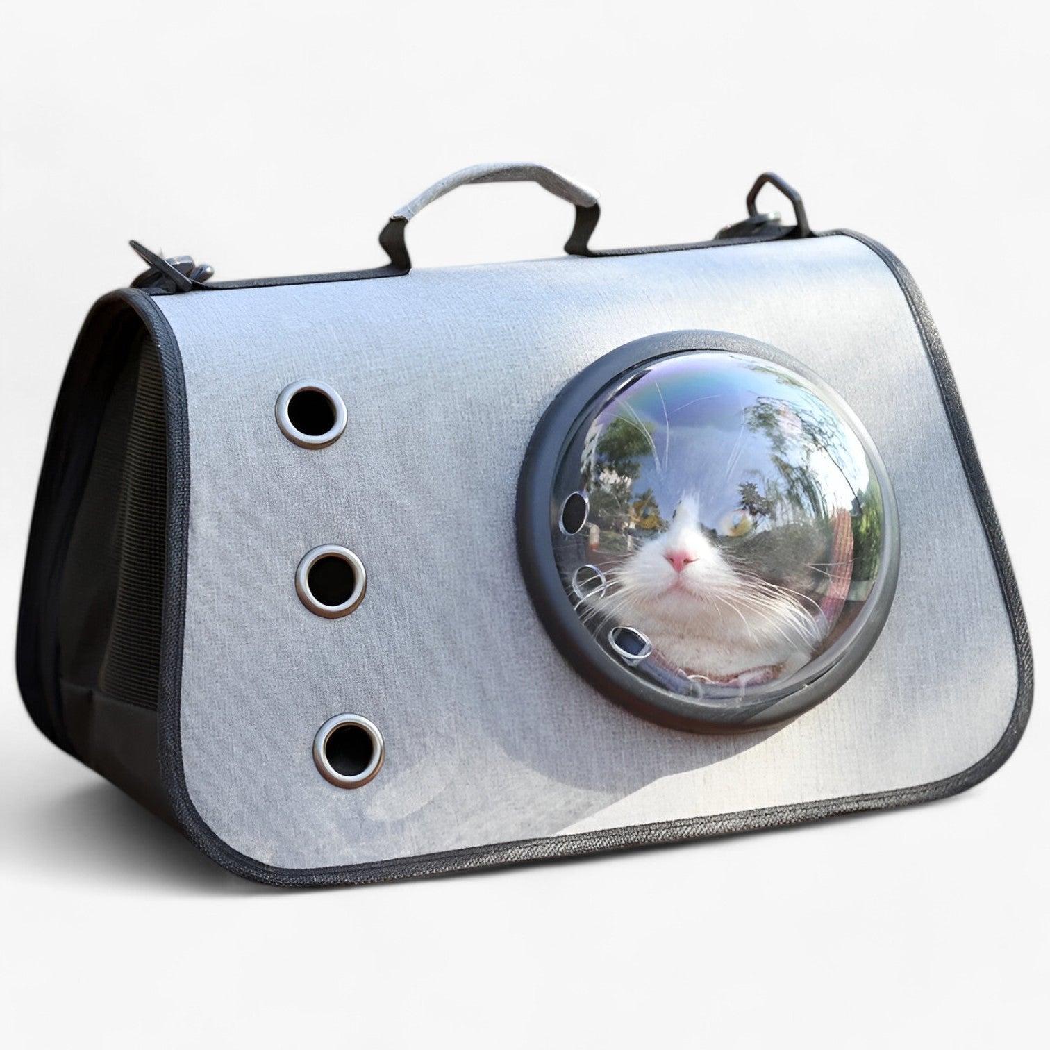 Borsa per gatti trasparente e traspirante per viaggi Lino Uomo - - borsa borsa gatti gatti lino pets & supplies trasparente traspirante uomo - Concept Palermo