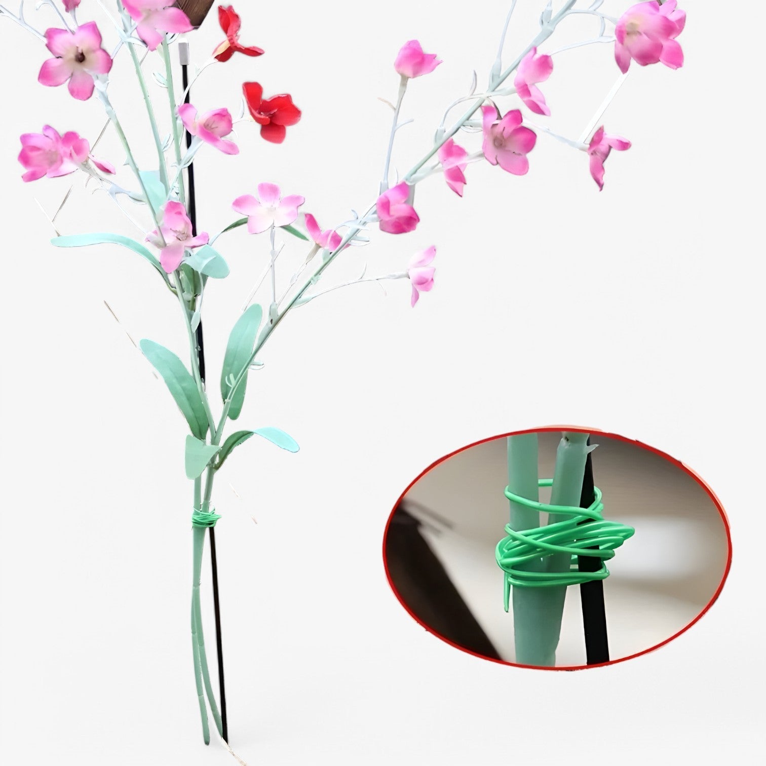 Pianta da Giardino con Filo e Strumento da Taglio per Sostegno Uomo - - filo Garden Garden accessories giardino Home & Garden pianta pianta giardino sostegno strumento taglio - Concept Palermo