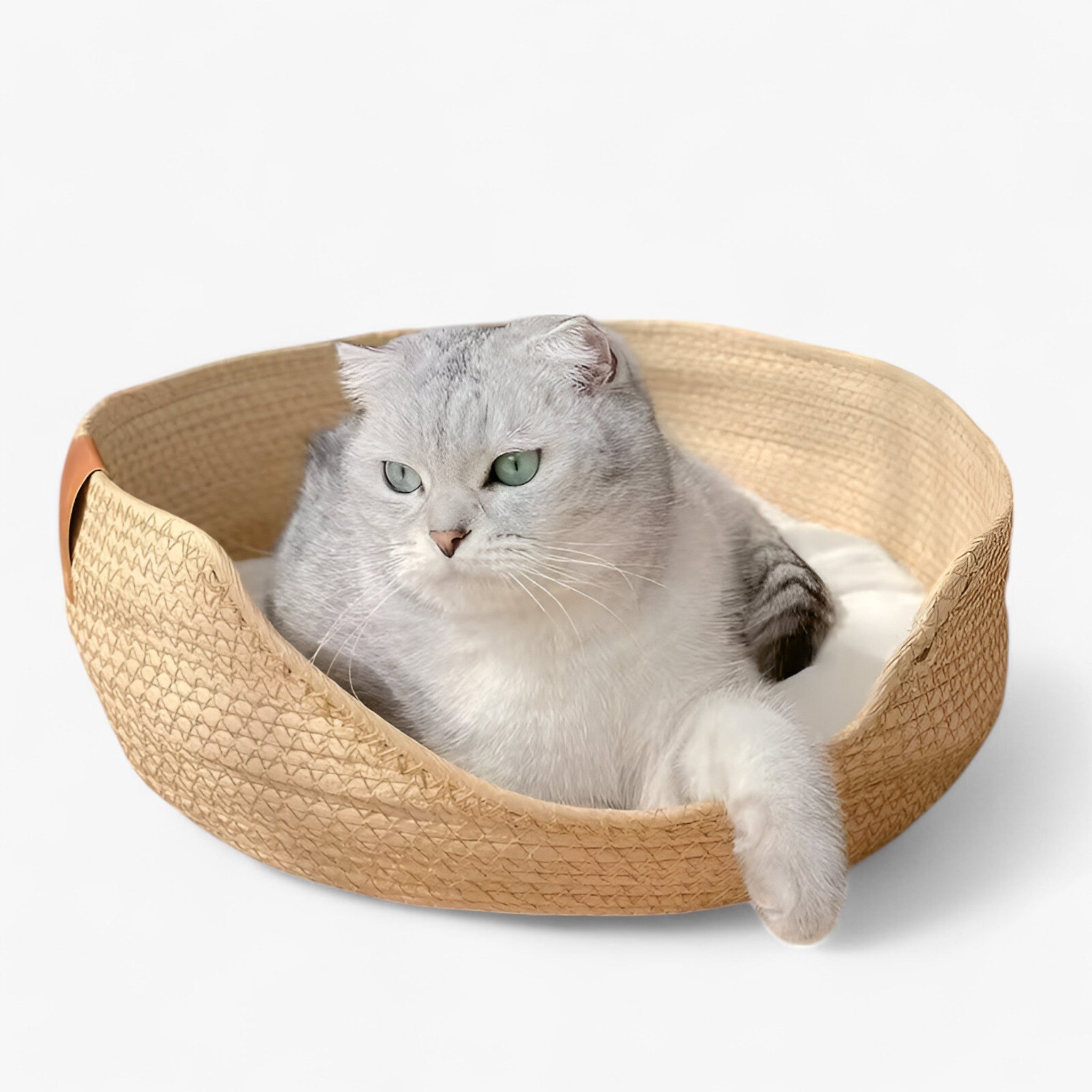 Cuccia Letto Ecologica in Bambù Intrecciato a Mano per Cani e Gatti, Naturale e Resistente - - animali bambù domestici letto letto animali mano pets & supplies tessuto - Concept Palermo
