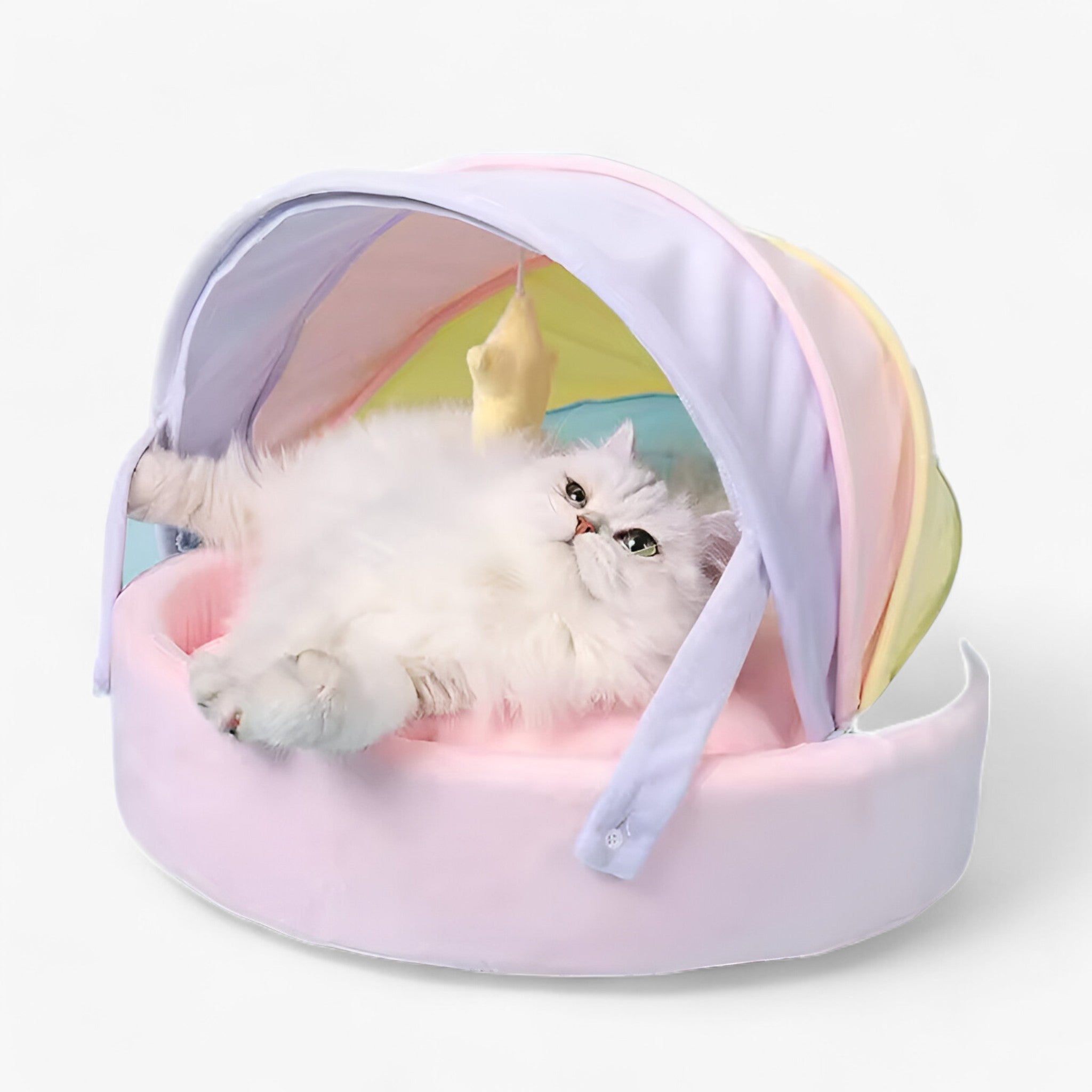 Casa per Gatti Rainbow - Comfort e Calore per il Tuo Animale Domestico - - animale calore casa casa gatti comfort domestico gatti pets & supplies - Concept Palermo