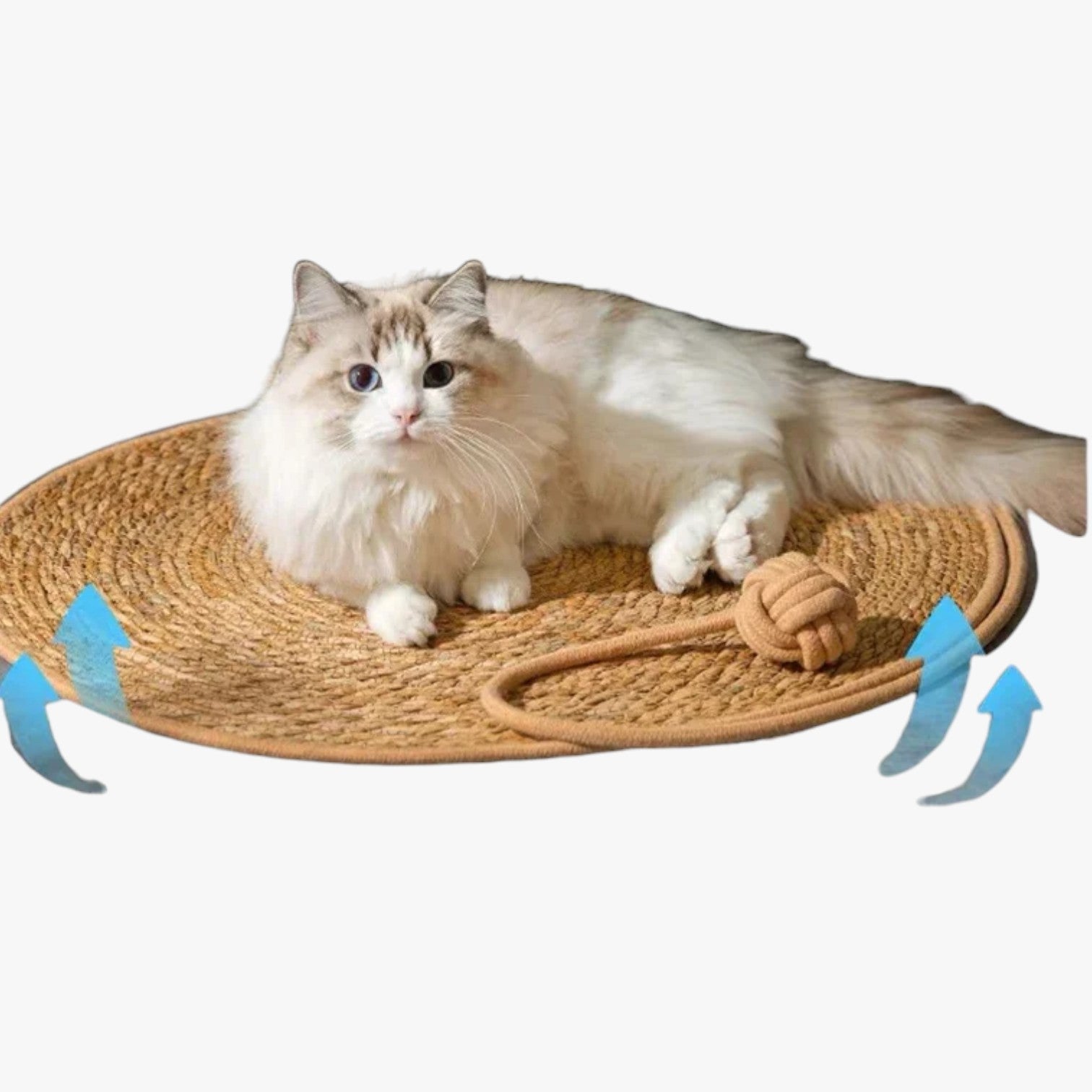 Tappetino tiragraffi in paglia per gatti, pratico e facile da usare - - facile gatti paglia pet PET SUPPLIES petproduct pets & supplies pratico tappetino tappetino tiragraffi tiragraffi - Concept Palermo