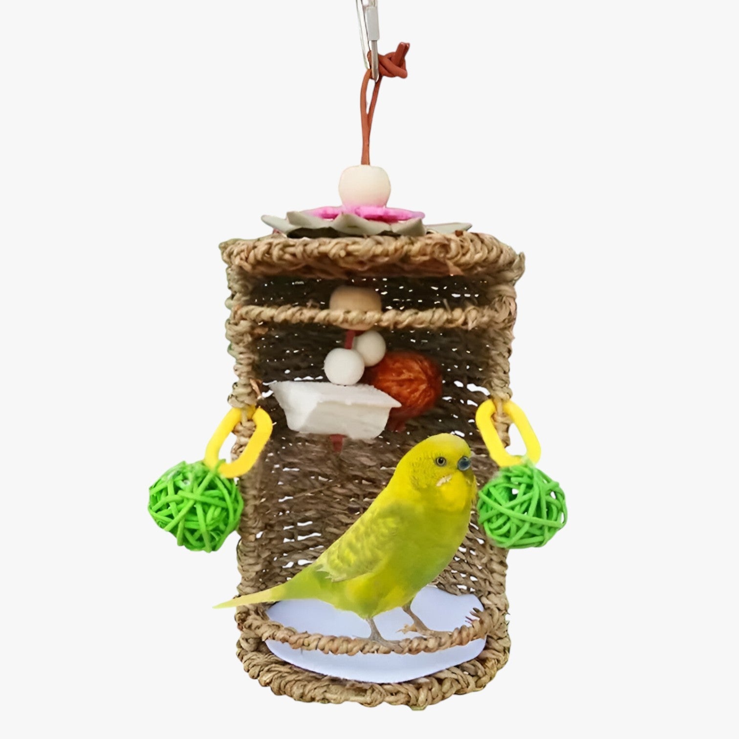 Accogliente rifugio per uccelli – Spazio nido e gioco confortevole - - accogliente accogliente rifugio bird bird house birdproduct confortevole gioco nido pets & supplies rifugio spazio - Concept Palermo