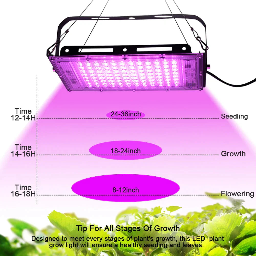 HydroGlow - Lampada da coltivazione LED a spettro completo con spina EU Nero - - coltivazione completo Decoration lighting grow lamp grow light home & garden hydroglow lampada led lamp lightning plant light spettro spina - Concept Palermo
