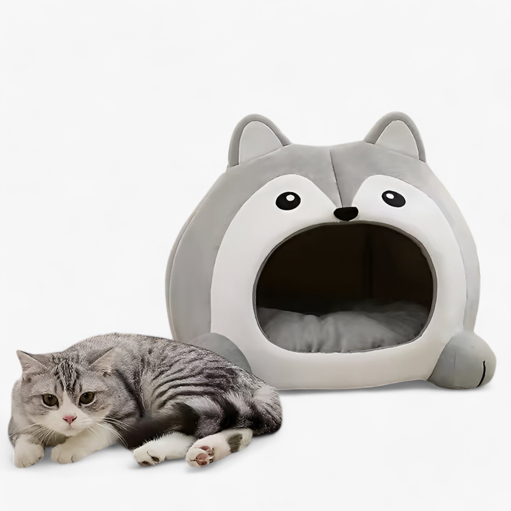 Letto per Gatti Ultra Morbido – Confortevole Zona di Comfort per il Tuo Animale Domestico - - animale comfort confortevole domestico gatti letto letto gatti pets & supplies - Concept Palermo