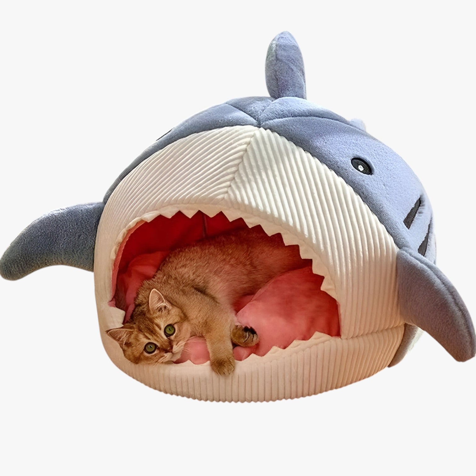 Cuccia per gatti calda e accogliente - - accogliente calda cuccia cuccia gatti gatti pet pet bed PET SUPPLIES pet's bed petproduct Pets pets & supplies - Concept Palermo