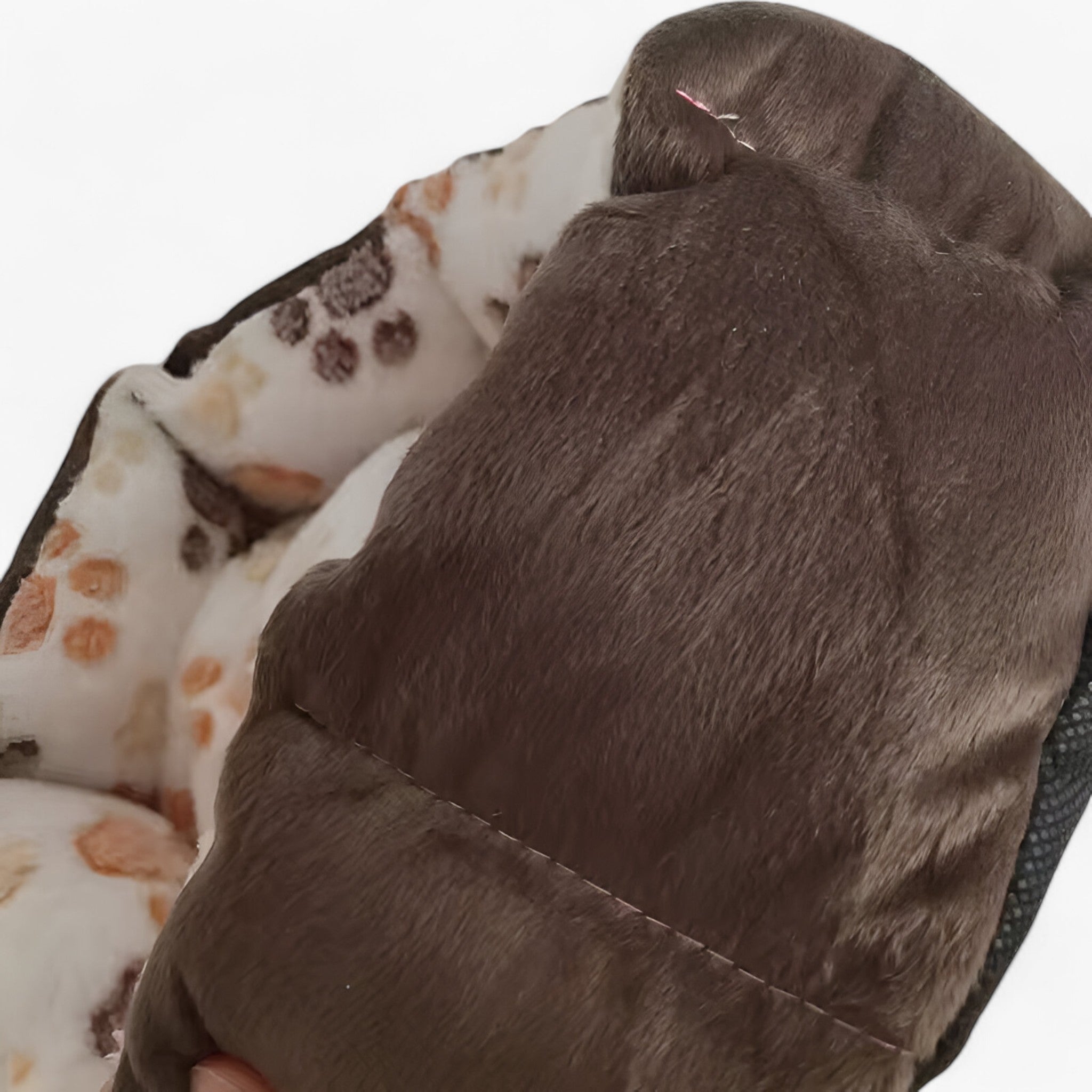 Morbido Cuscino per Cani in Peluche Uomo - - cani cuscino cuscino cani peluche pets & supplies uomo - Concept Palermo