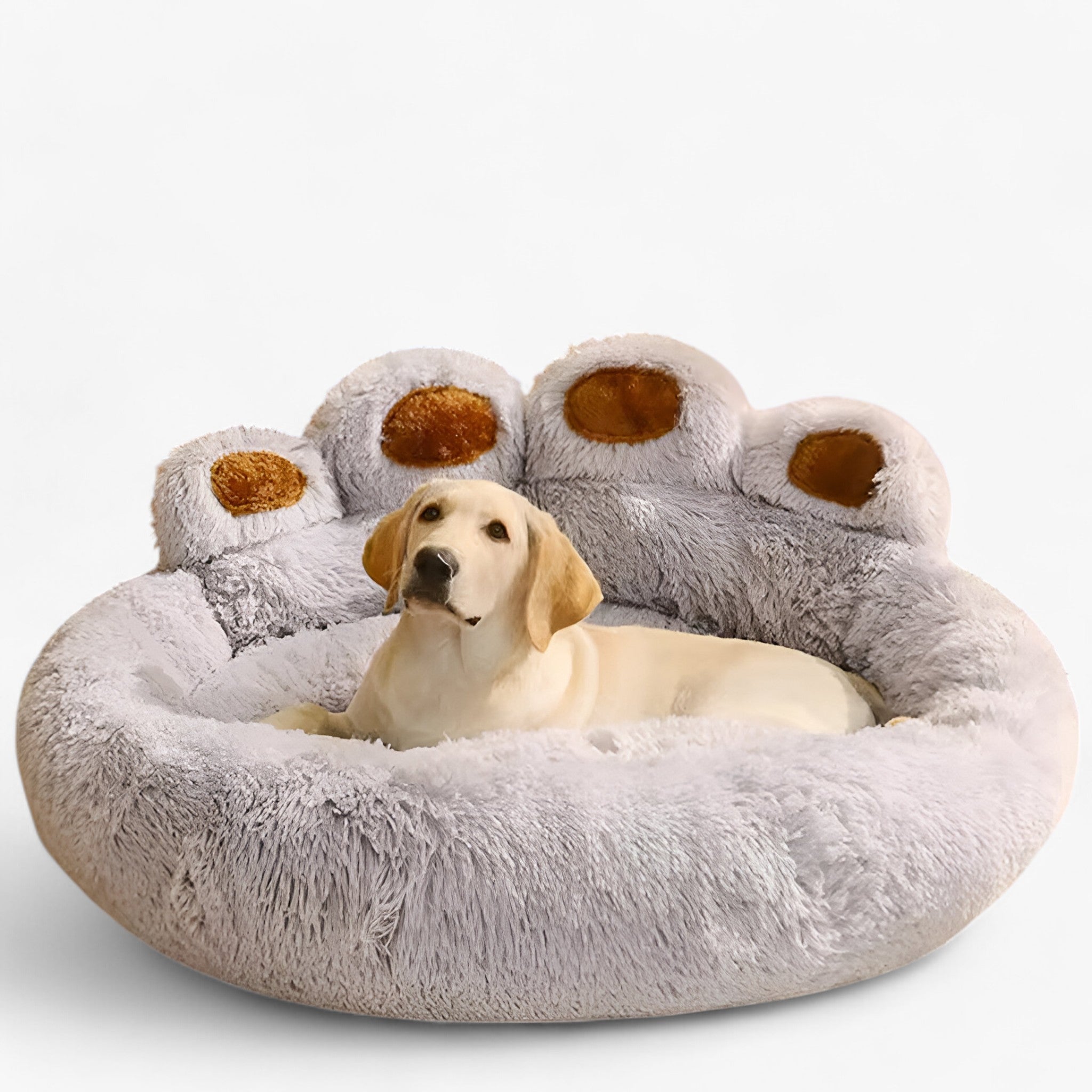 Letto per Cani Peloso e Confortevole - - cani confortevole letto letto cani peloso pets & supplies - Concept Palermo