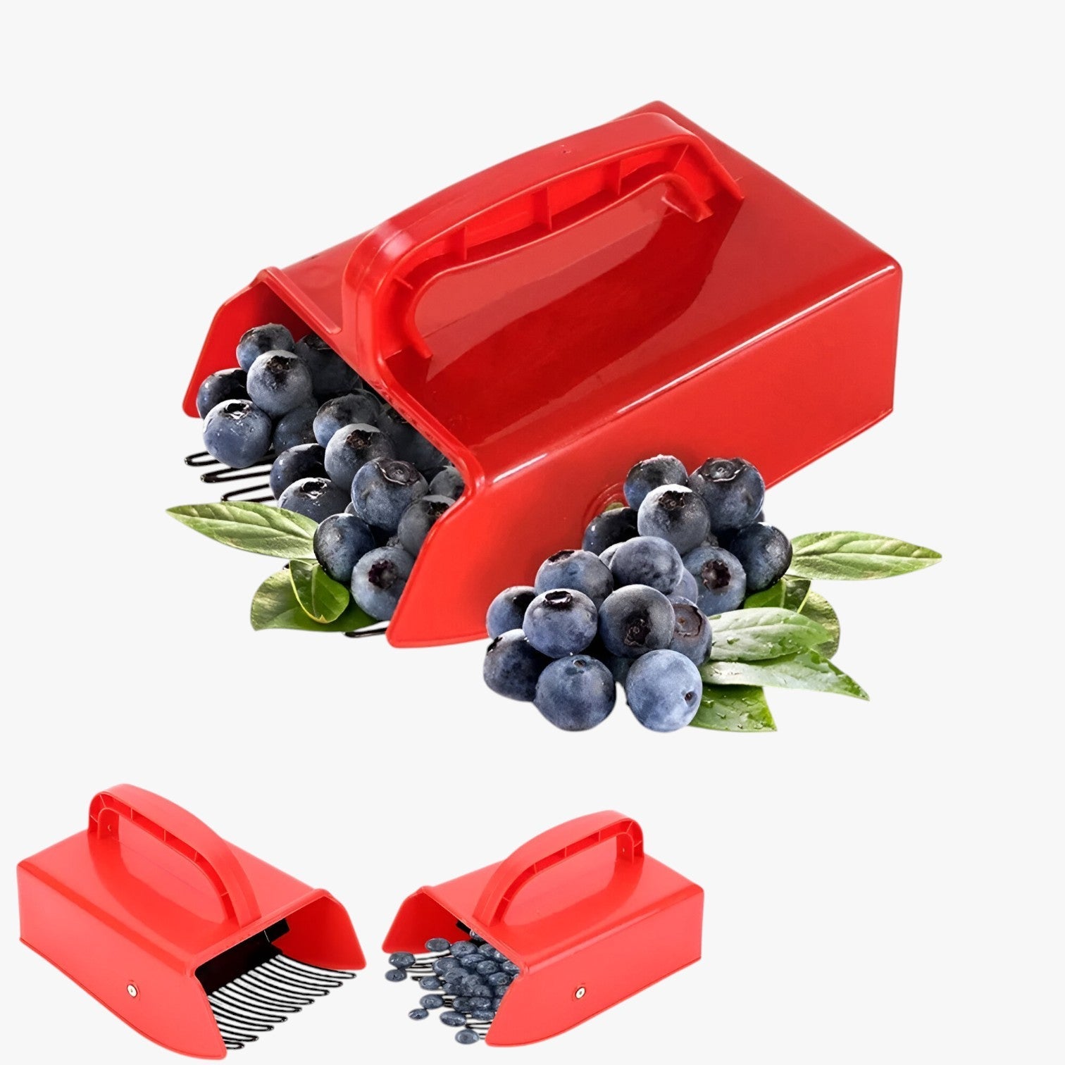 Raccoglitore di bacche ergonomico – Raccogliere in modo veloce e senza sforzo Uomo - - bacche ergonomico Garden Garden accessories Garden supplies Home & Garden modo raccogliere raccoglitore raccoglitore bacche sforzo - Concept Palermo