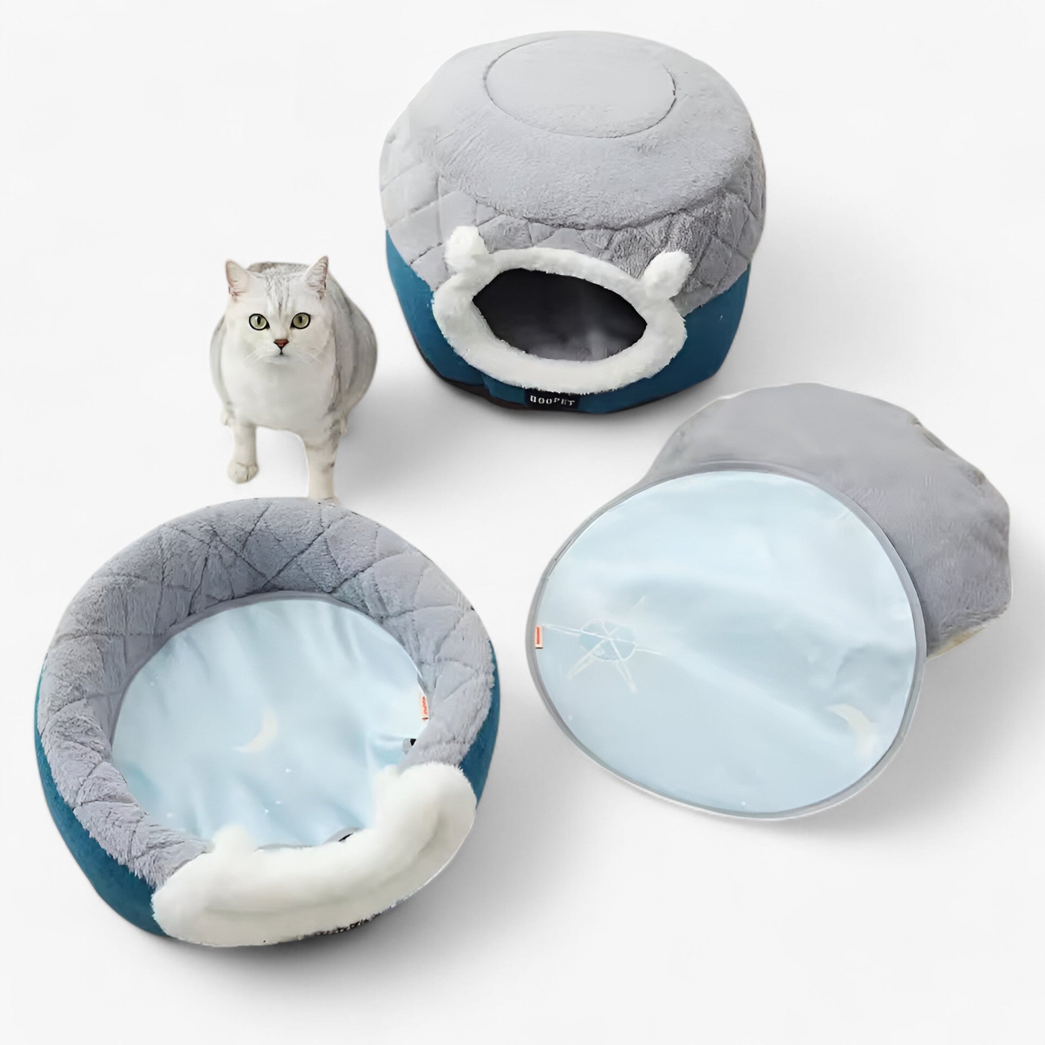 Letto a Cerchio per Gatti – Caldo, Morbido e Accogliente Nido Uomo - - accogliente caldo cerchio gatti letto letto cerchio nido pets & supplies - Concept Palermo