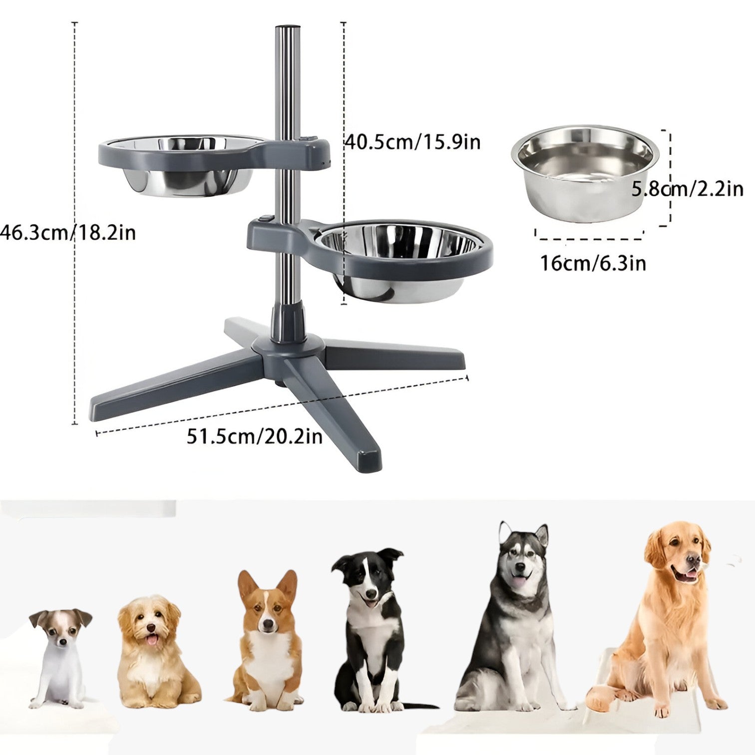 Ciotola per Cani Regolabile con Ciotole in Acciaio Inox Ergonomica e Durevole - - acciaio animali domestici cani ciotola ciotola cani ciotole ergonomica inox pets & supplies - Concept Palermo