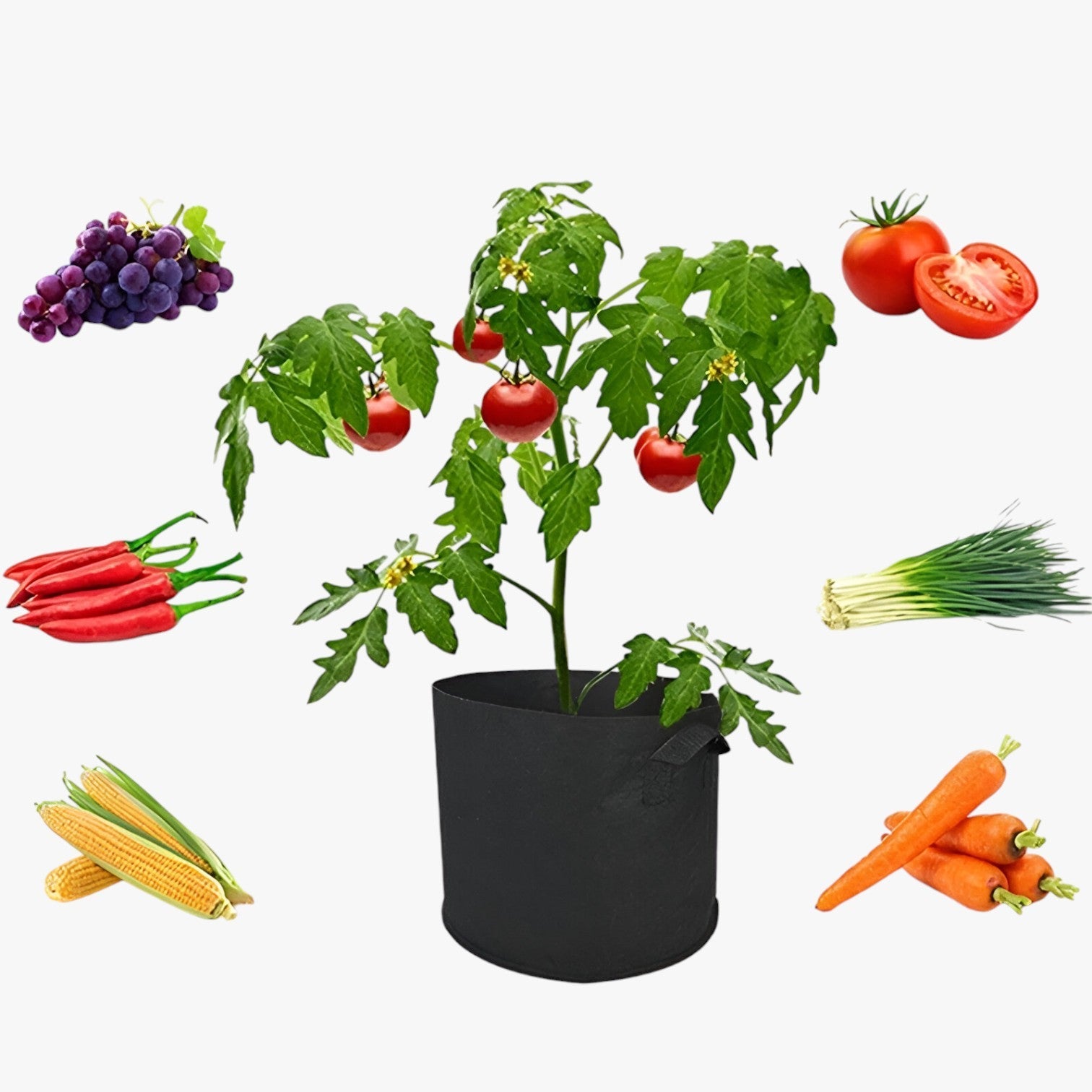 Sacco di coltivazione salvaspazio – Piante sane, facili da coltivare - - coltivare coltivazione facili Garden Garden supplies Home & Garden piante sacco sacco coltivazione salvaspazio - Concept Palermo