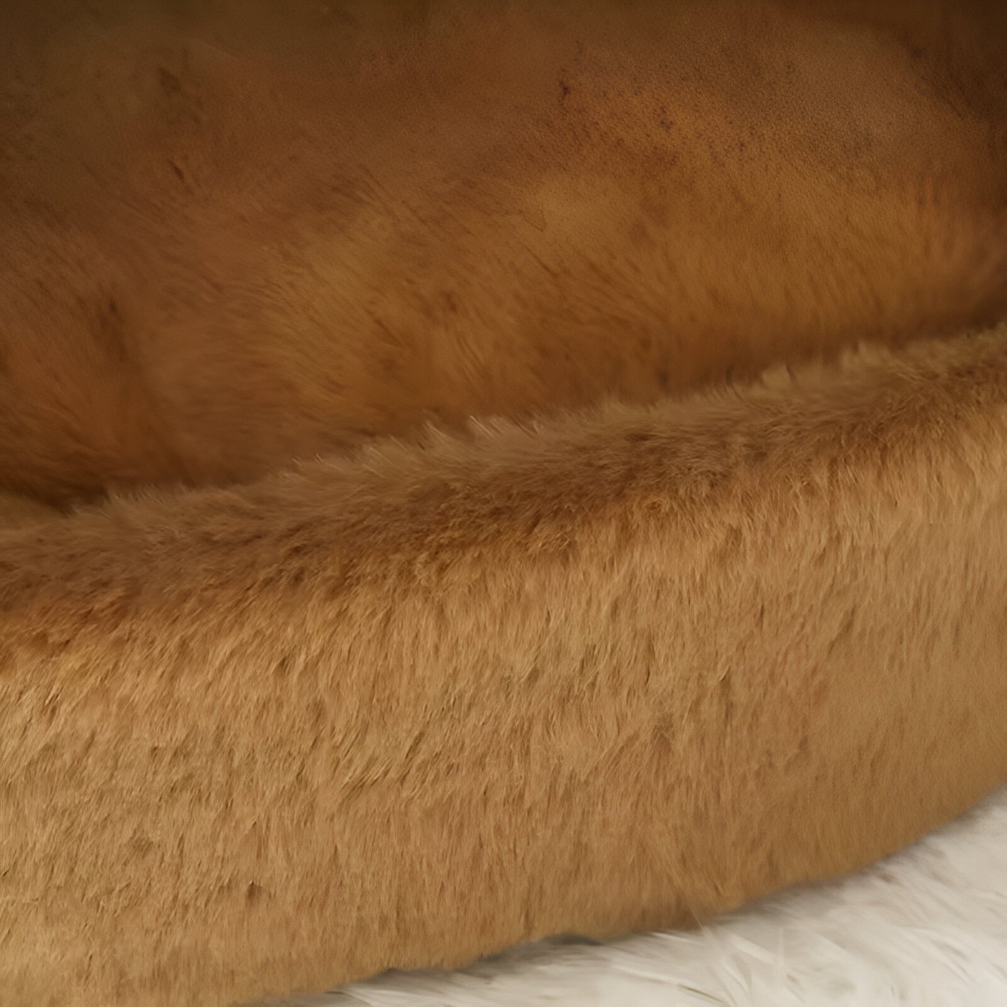 Letto per Gatti a Cerchio – Caldo, Accogliente e Protettivo Nido Uomo - - accogliente caldo cerchio gatti letto letto gatti nido pets & supplies - Concept Palermo