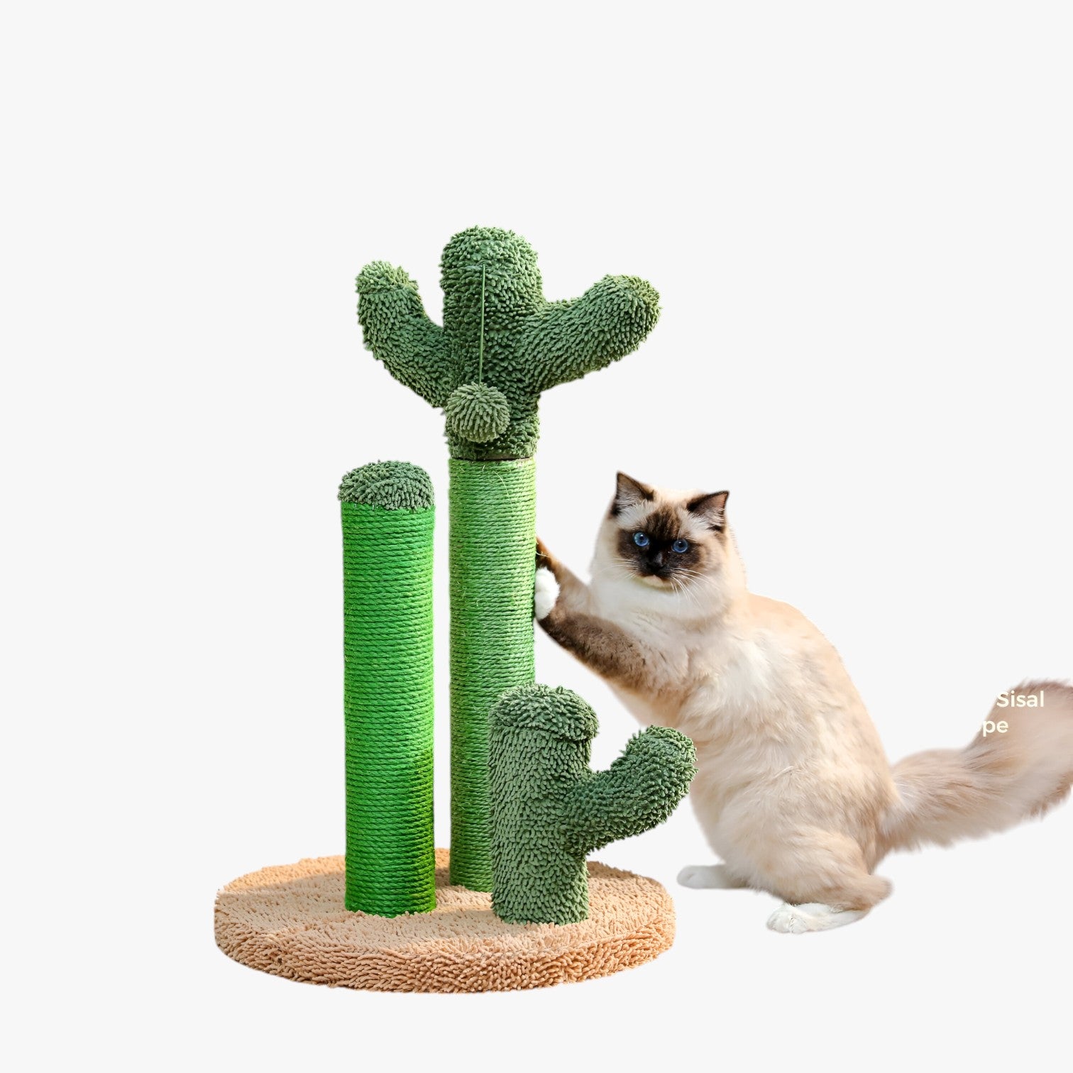 Cactus Scratch Fun Graffiatoio Interattivo a 3 Pali con Pallina Pendente - - cactus cactus scratch graffiatoio interattivo mitzy | cactus scratch fun graffiatoio interattivo a 3 pali con pallina pendente - €25 pali pallina pendente pet PET SUPPLIES petproduct Pets - Concept Palermo