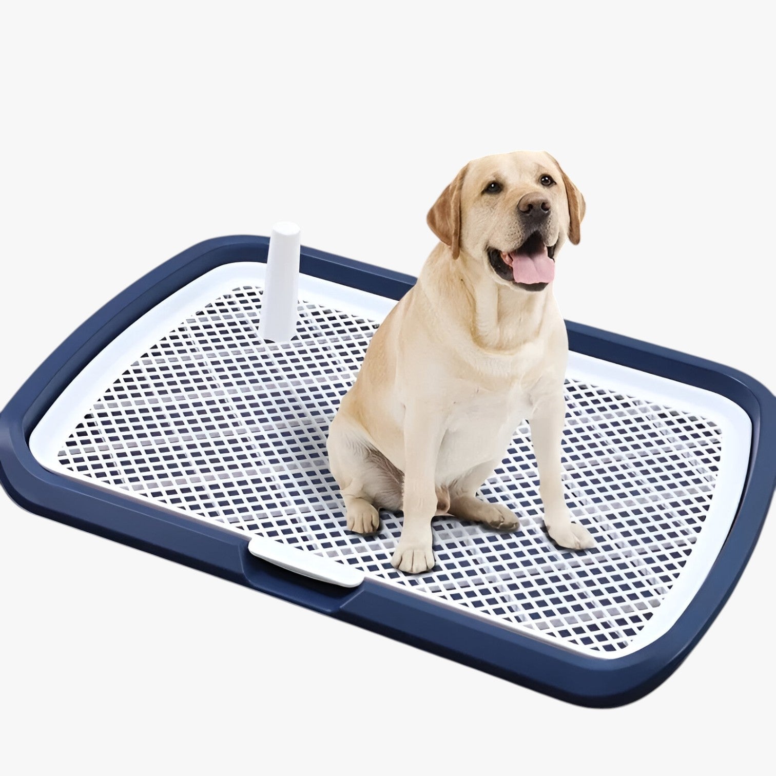 Toilette per cani con rete removibile Addestramento facile e igienico - - addestramento cani facile igienico pet PET SUPPLIES petproduct pets & supplies removibile rete toilette - Concept Palermo