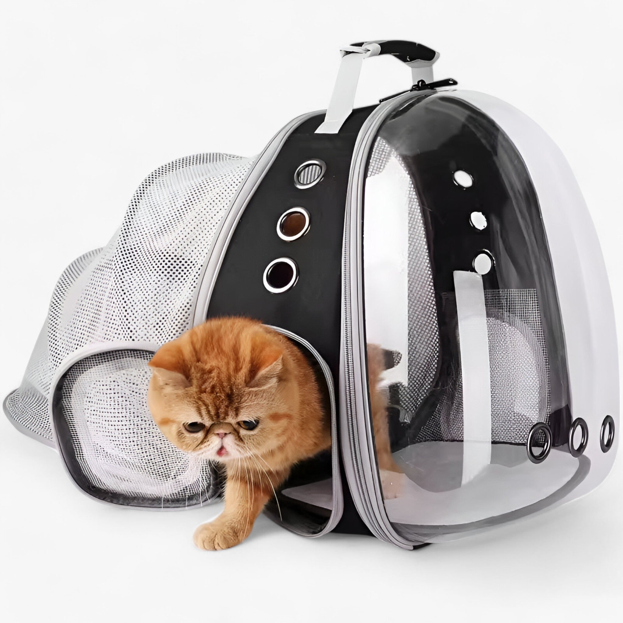 Zaino per gatti astronauta spazioso con finestra a bolla Uomo - - astronauta bolla finestra gatti pets & supplies spazioso uomo zaino - Concept Palermo