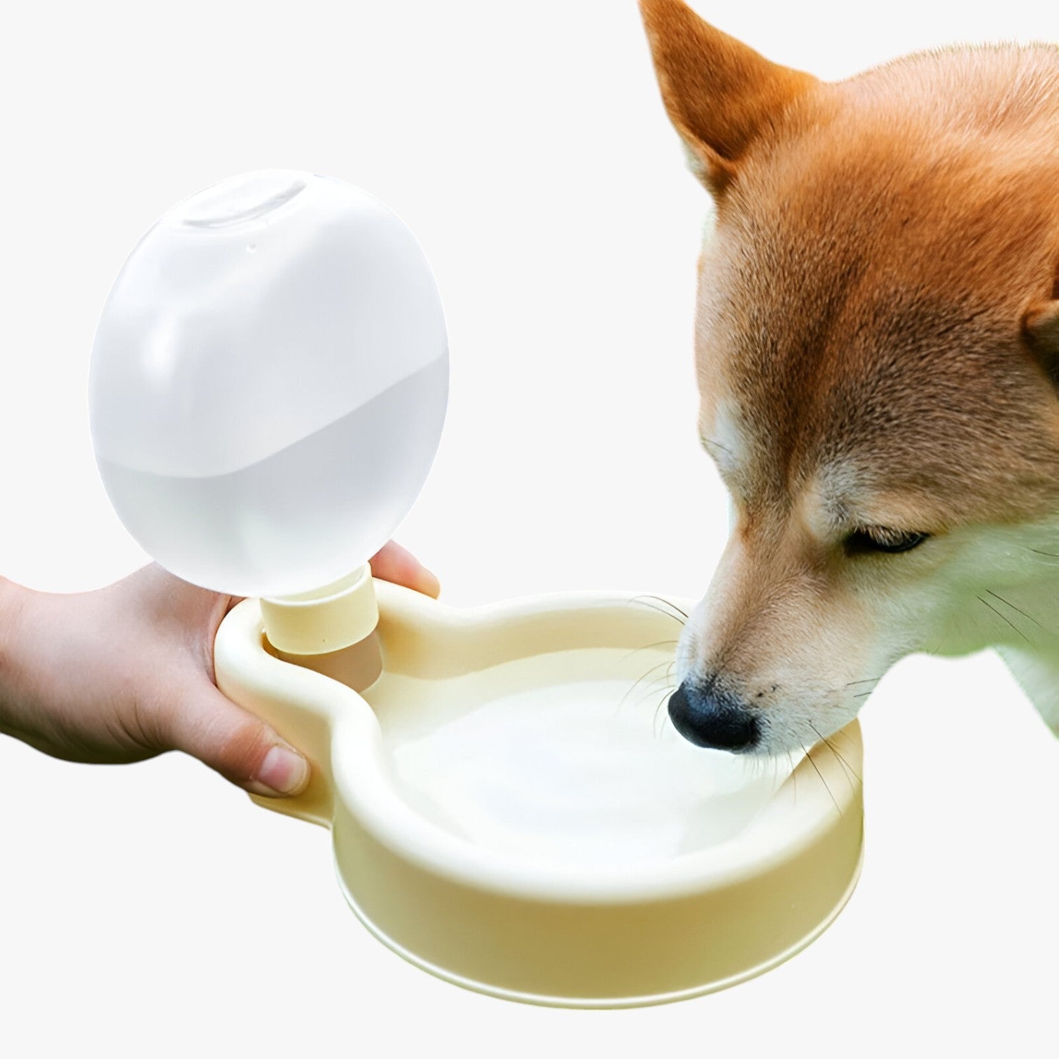 Bottiglia d'acqua portatile per cani - Idratazione in movimento - - acqua bottiglia bottiglia acqua cani dog DOG SUPPLIES idratazione movimento pet pet accessories PET SUPPLIES pets & supplies portatile - Concept Palermo