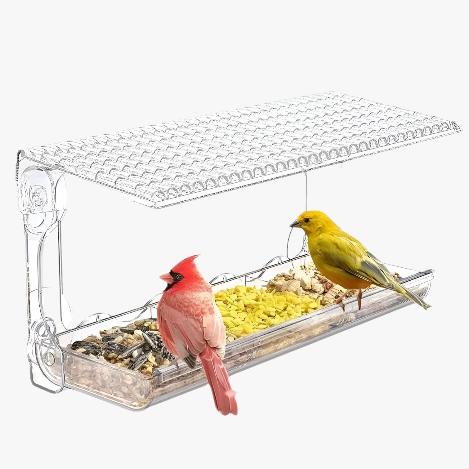 Casetta per uccelli trasparente – Goditi i uccelli da vicino nel tuo giardino Oro - - bird bird feeder birdproduct casetta casetta uccelli giardino goditi pet PET SUPPLIES pets & supplies trasparente uccelli vicino - Concept Palermo