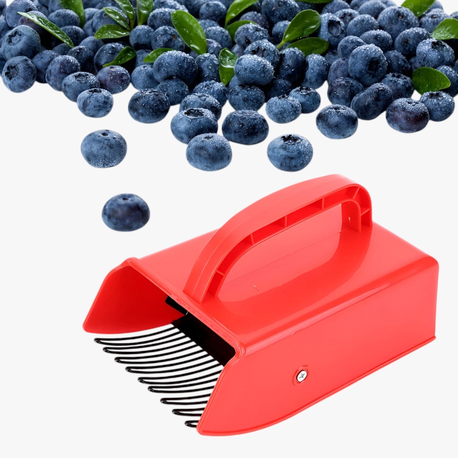 Raccoglitore di bacche ergonomico – Raccogliere in modo veloce e senza sforzo Uomo - - bacche ergonomico Garden Garden accessories Garden supplies Home & Garden modo raccogliere raccoglitore raccoglitore bacche sforzo - Concept Palermo