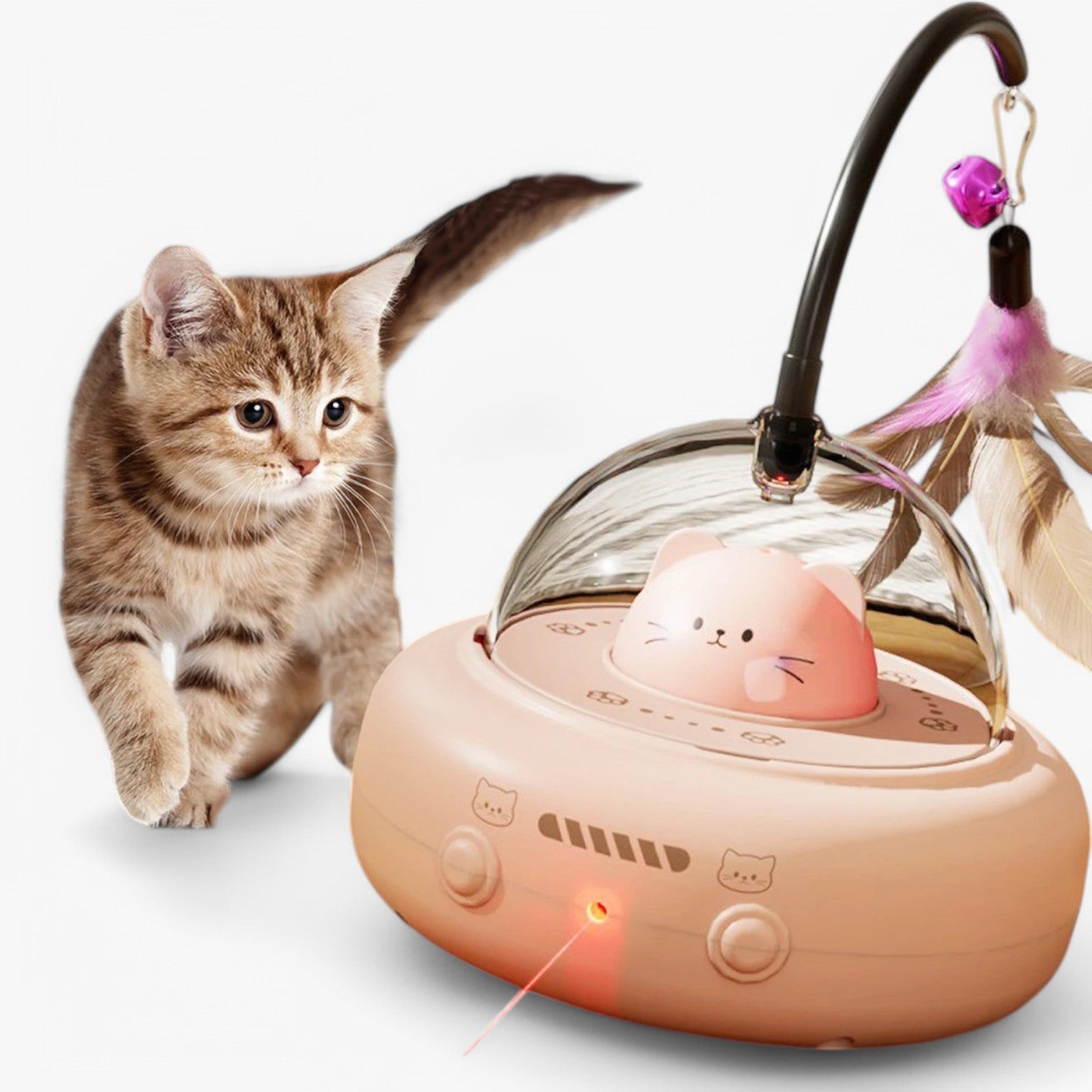 Giocattolo per gatti slim laser con luce arcobaleno Uomo - - arcobaleno gatti giocattolo giocattolo gatti laser luce pet PET SUPPLIES pets & supplies slim - Concept Palermo