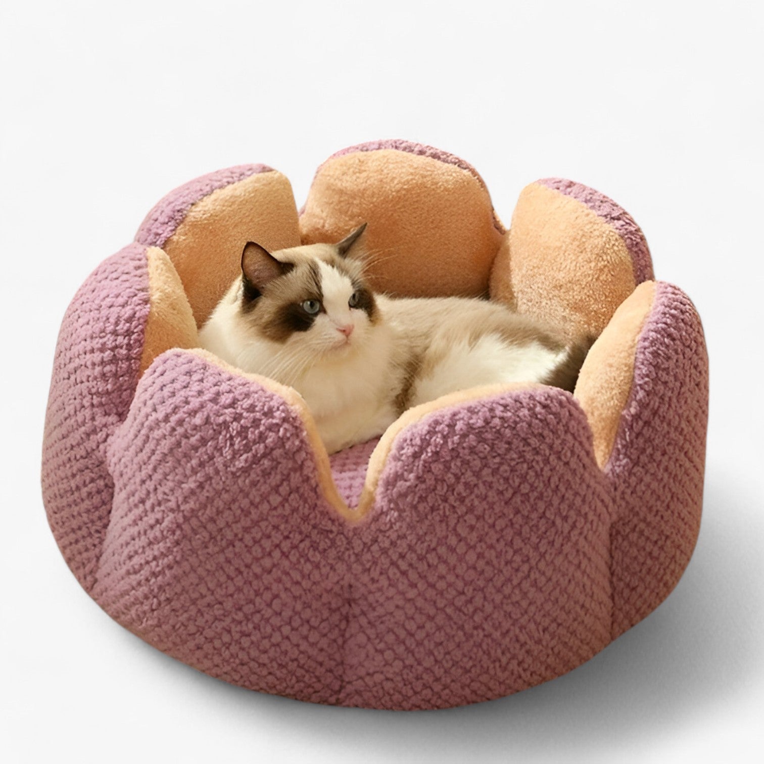 Cuccia Rotonda Morbida in Peluche Lavabile per Gatti e Cuccioli, Letto Caldo e Confortevole - viola - accogliente caldo caldo accogliente cuccioli gatti pet pet bed PET SUPPLIES pets & supplies uomo - Concept Palermo
