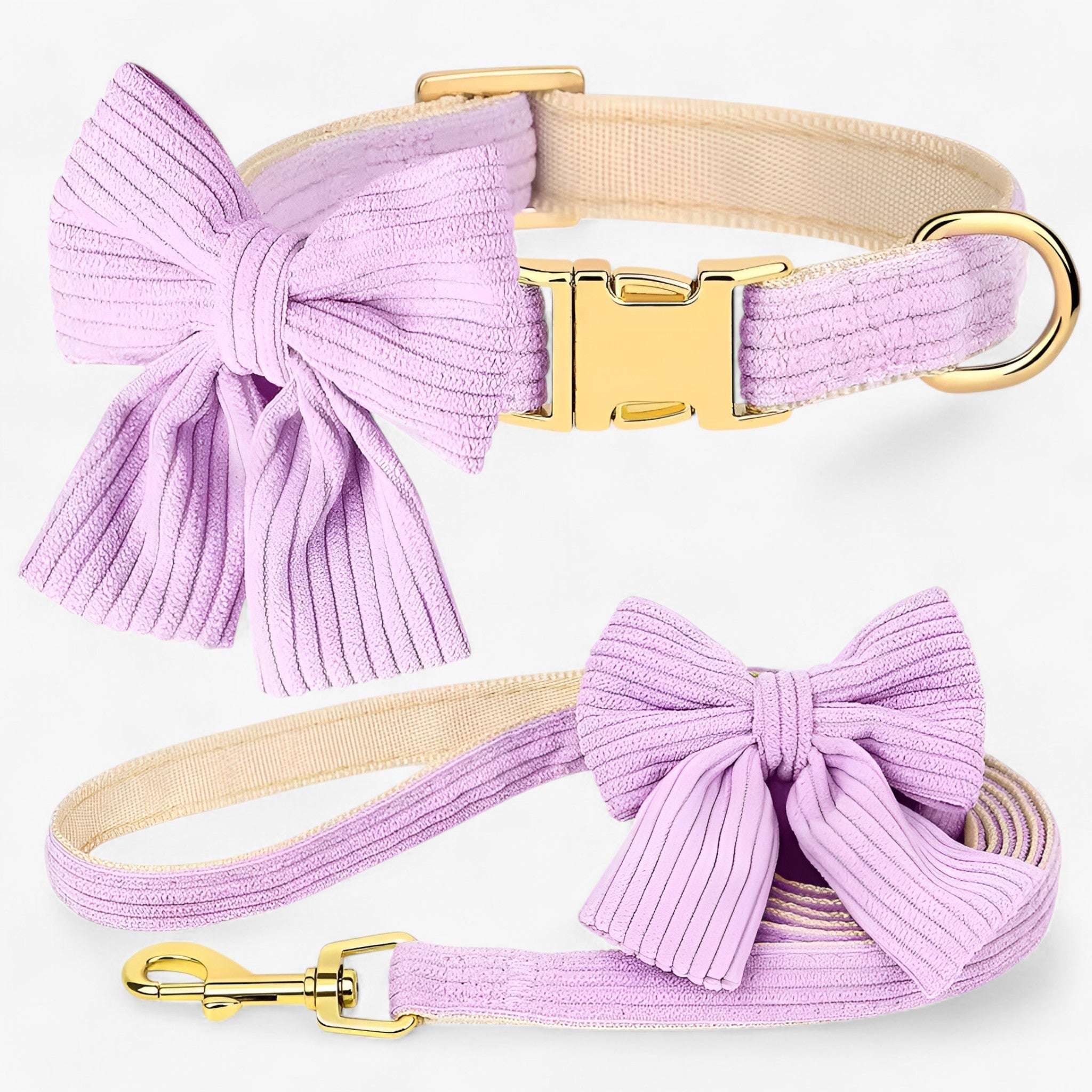 Set Collare e Guinzaglio Rosa Chiaro per Cani Piccoli e Medi - Viola - cani chiaro collare collare guinzaglio guinzaglio medi pets & supplies piccoli - Concept Palermo