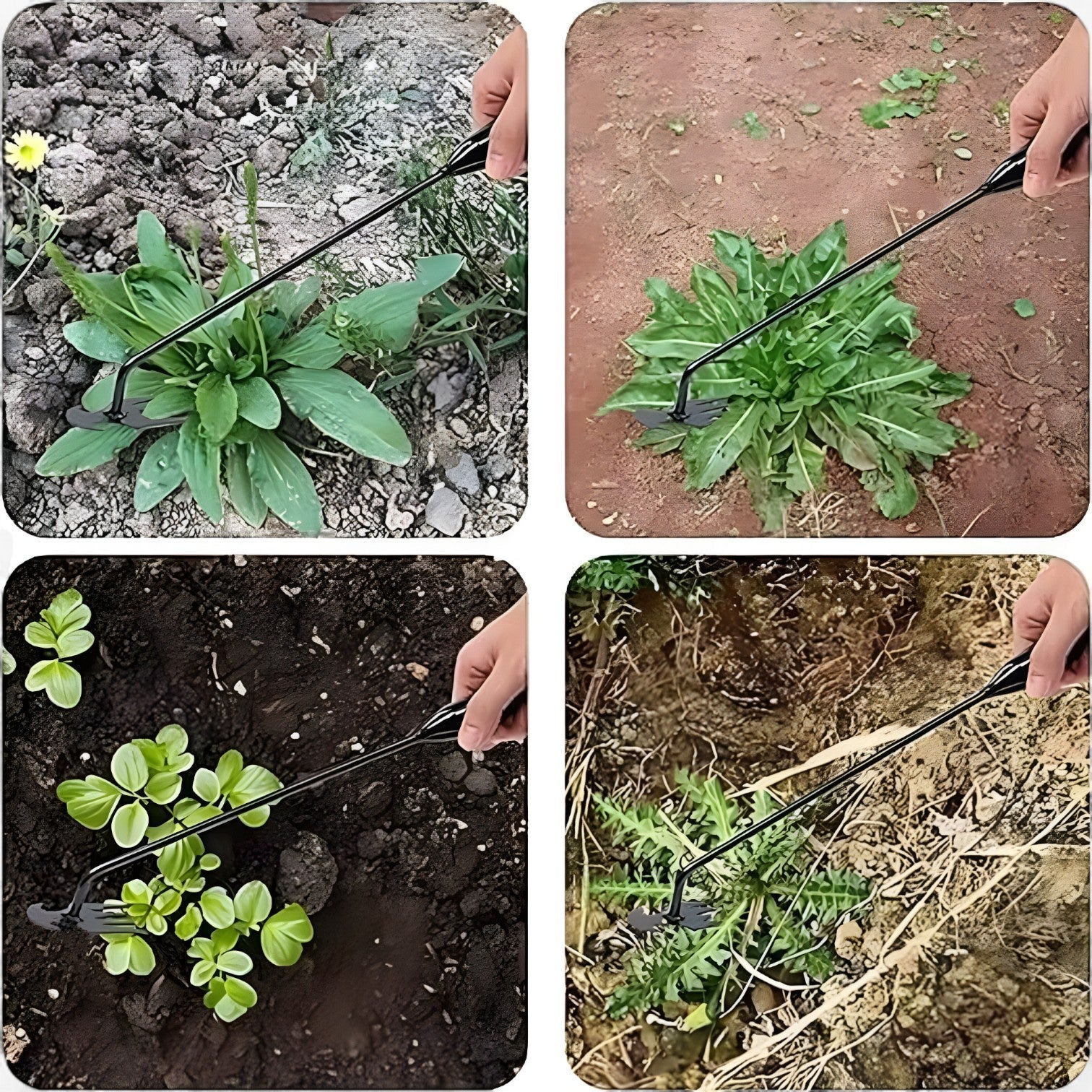Zappa da giardino multifunzionale – Estirpazione delle erbacce efficiente, meno sforzo Uomo - - efficiente erbacce estirpazione Garden supplies garden tools giardino Home & Garden meno multifunzionale sforzo - Concept Palermo