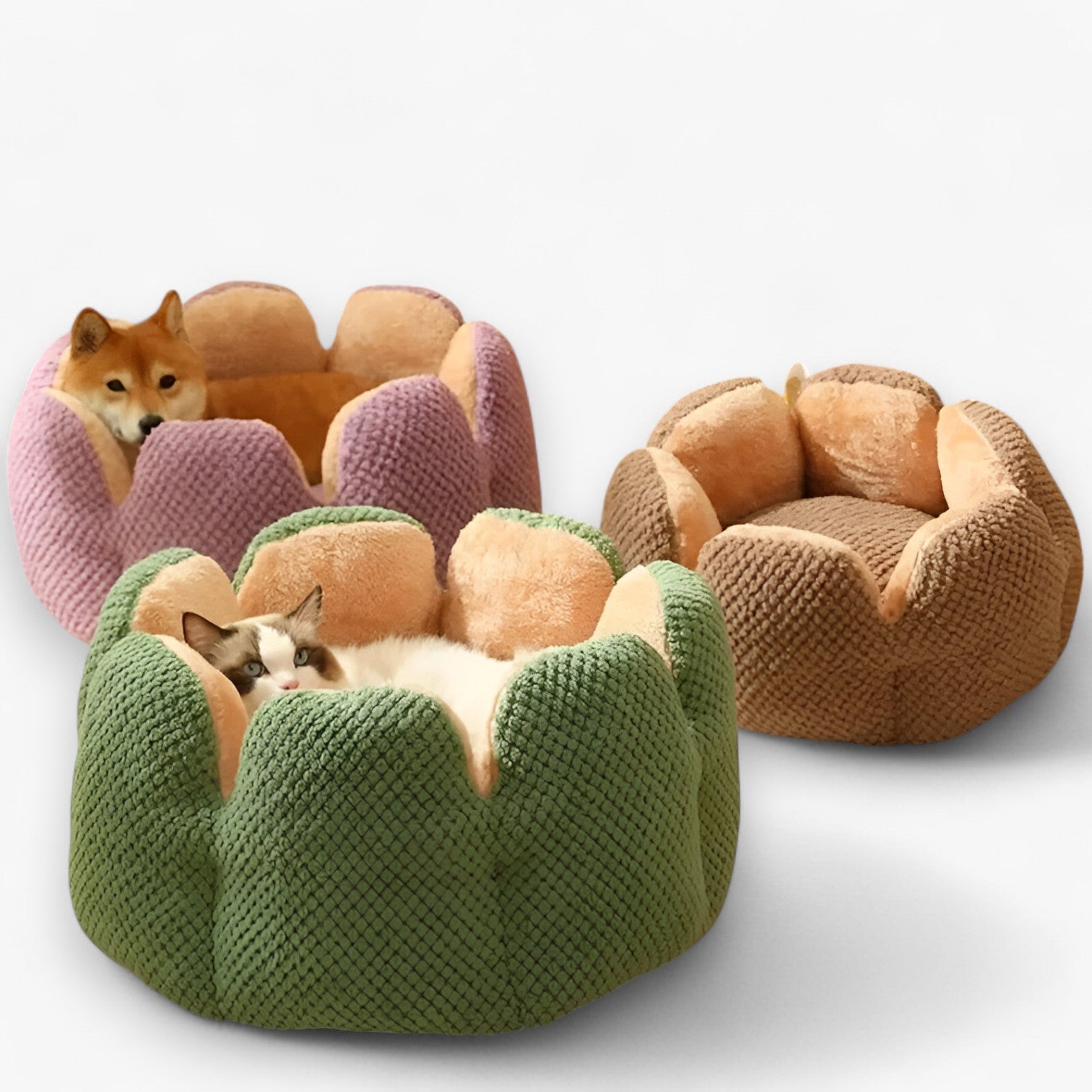 Cuccia Rotonda Morbida in Peluche Lavabile per Gatti e Cuccioli, Letto Caldo e Confortevole - - accogliente caldo caldo accogliente cuccioli gatti pet pet bed PET SUPPLIES pets & supplies uomo - Concept Palermo