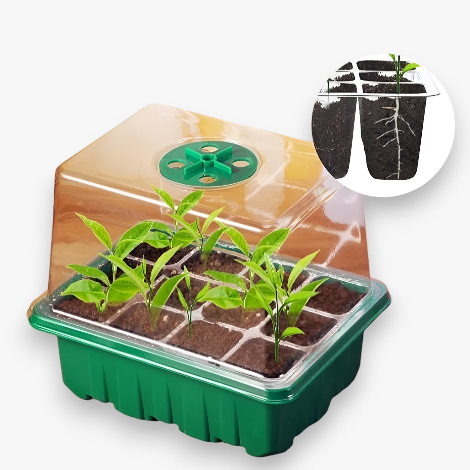 Piastra di partenza con coperchio – per giardinaggio e coltivazione indoor - - coltivazione coperchio giardinaggio home & garden home and garden indoor partenza piastra piastra partenza - Concept Palermo