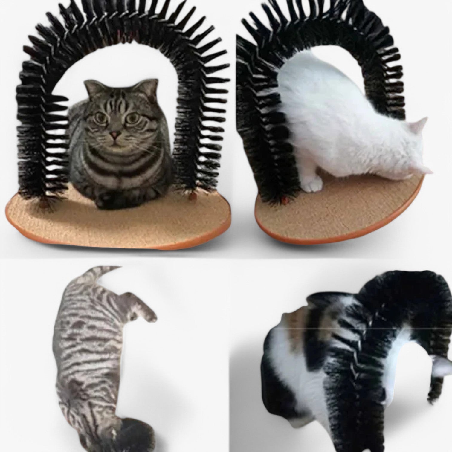 Cura, grattare e giocare in uno Uomo - - cura cura grattare giocare grattare pet pet accessories PET SUPPLIES pets & supplies uomo - Concept Palermo